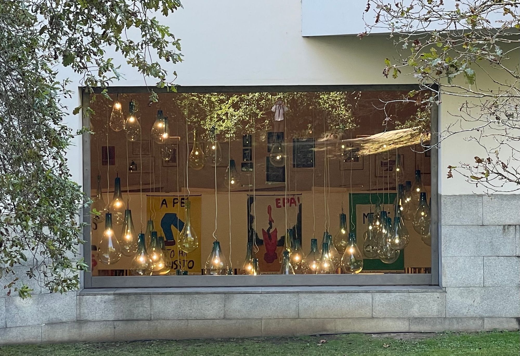 An exterior view of a building window showcasing numerous hanging light bulbs and colorful posters in the background. Foliage from nearby trees frames the scene.