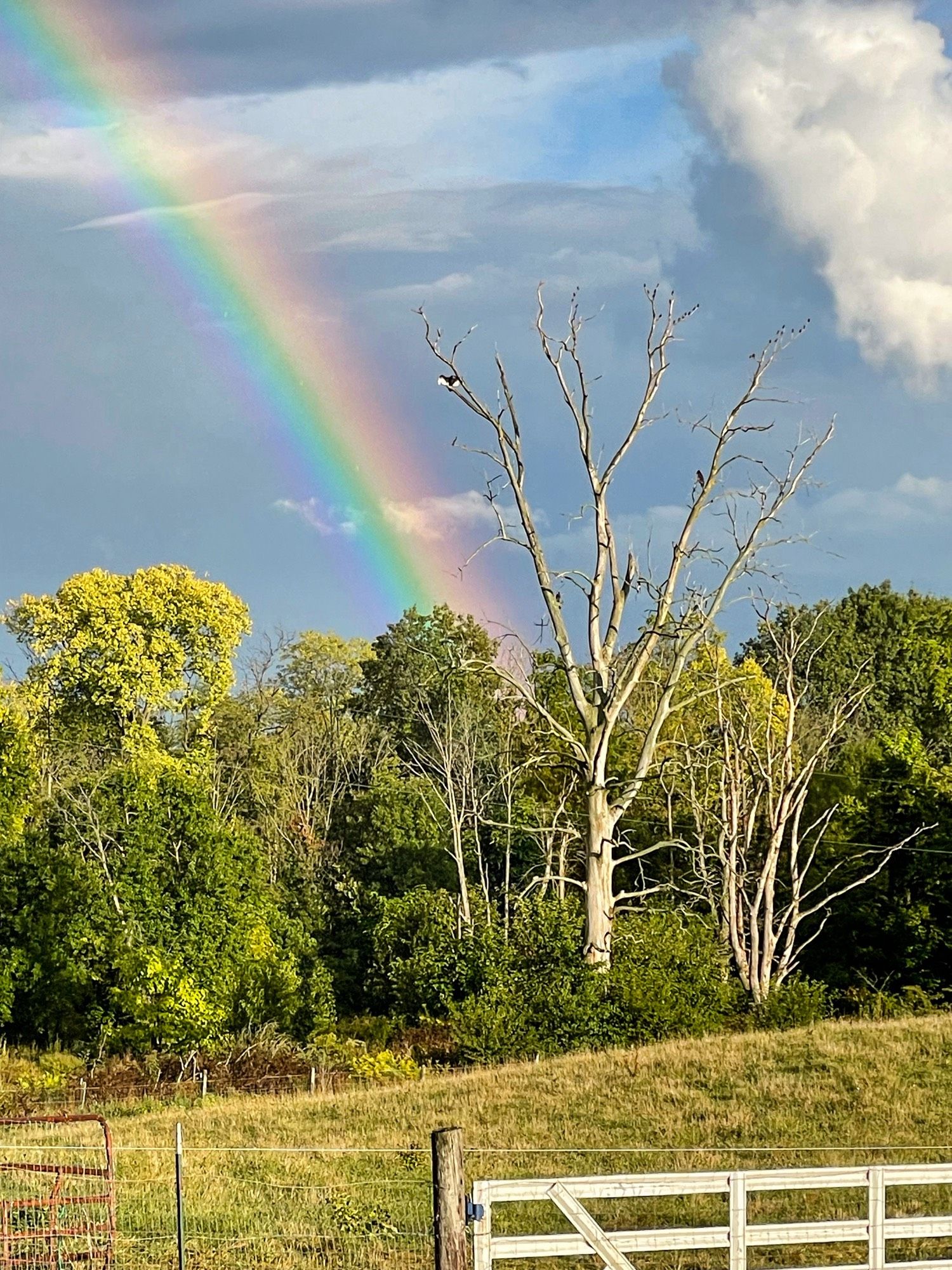 Afternoon light after a rainstorm featuring a portion of a rainbow