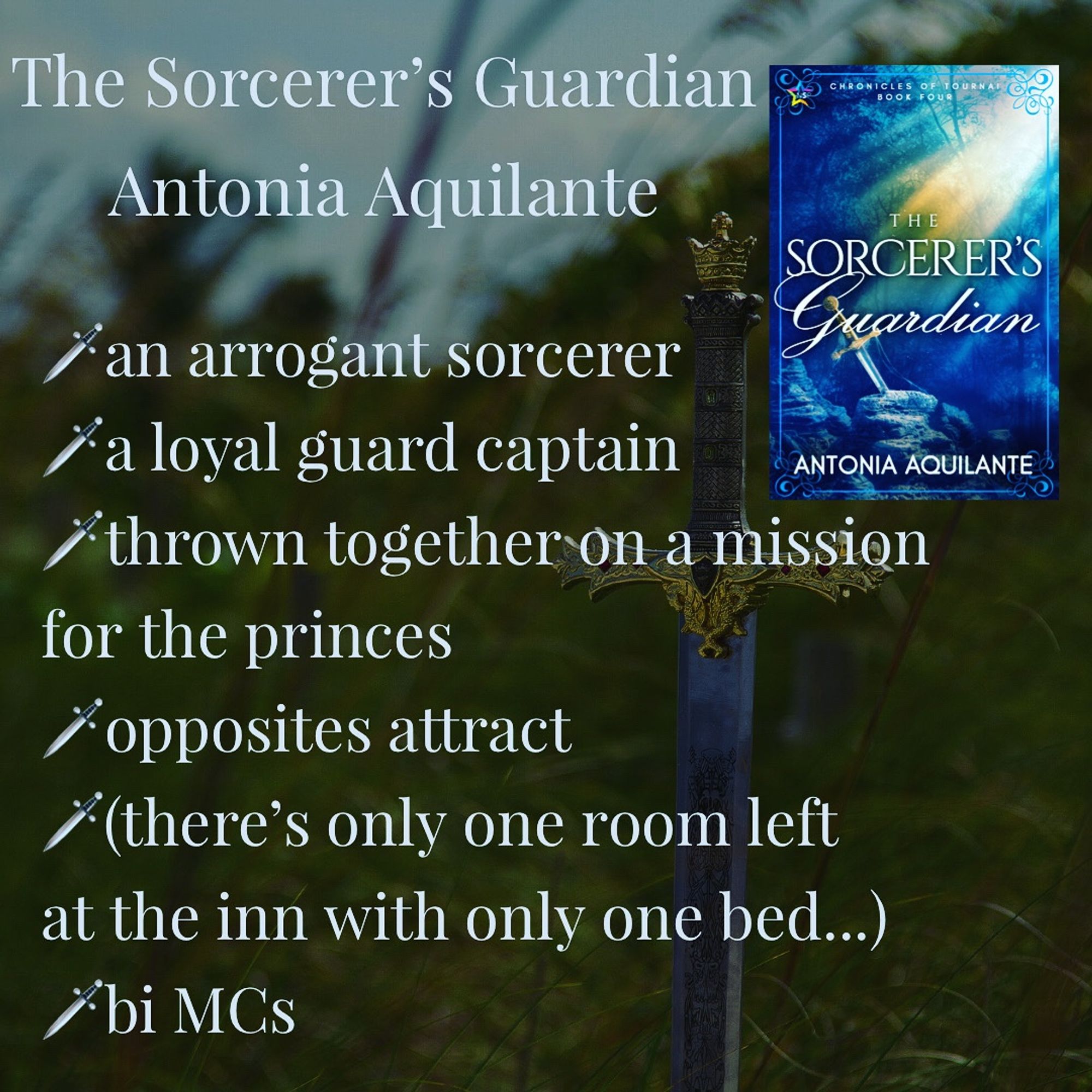 The Sorcerer’s Guardian 
Antonia Aquilante 
-an arrogant sorcerer 
-a loyal guard captain 
-thrown together on a mission for the crown 
-opposites attract 
-(there’s only one room left at the inn with only one bed…)
-bi MCs