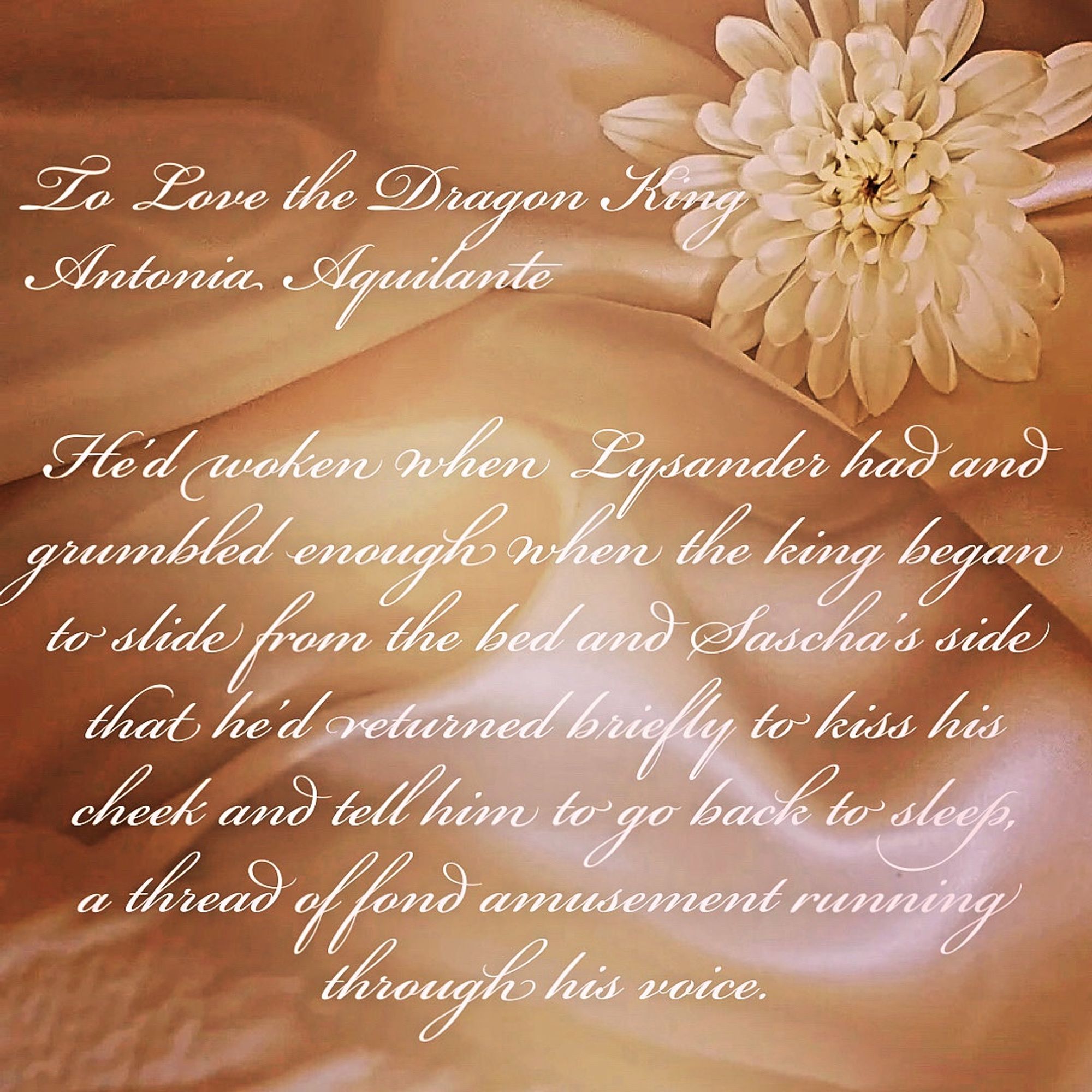 To Love the Dragon King
Antonia Aquilante 
He’d woken when Lysander had and grumbled enough when the king began to slide from the bed and Sascha’s side that he’d returned briefly to kiss his cheek and tell him to go back to sleep, a thread of fond amusement running through his voice.