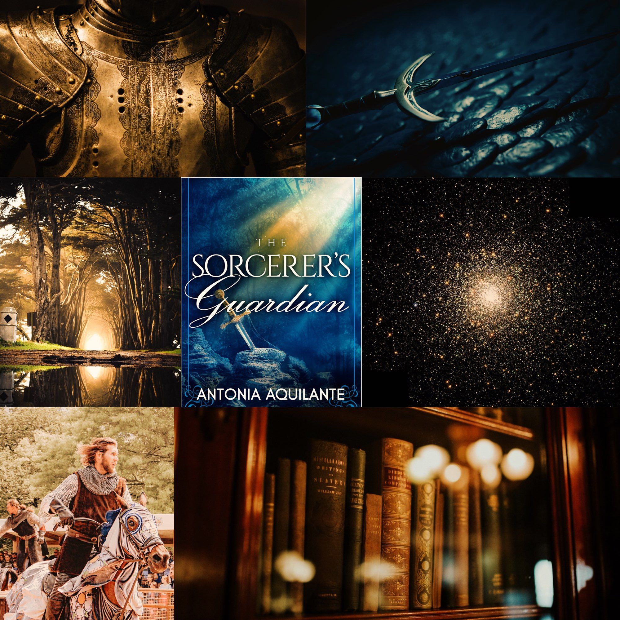 Collage of photos: The chest of someone in armor, a sword on cobblestones, trees with a glow in the distance, the cover of The Sorcerer’s Guardian, sparkly magic, a man on a horse, books on a shelf