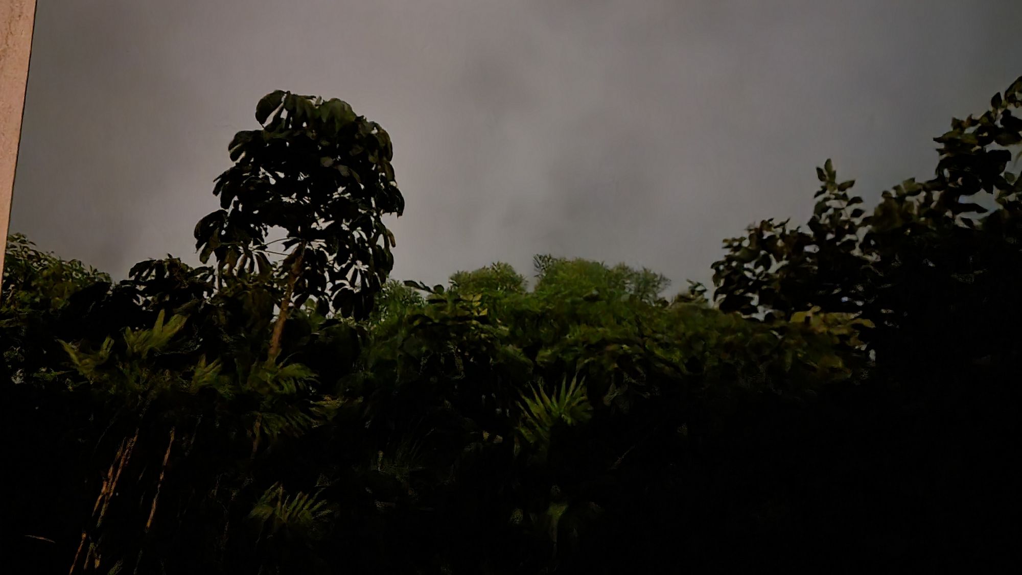 Tropical vegetation under stormy skies. Long exposure in pre-sunrise light.