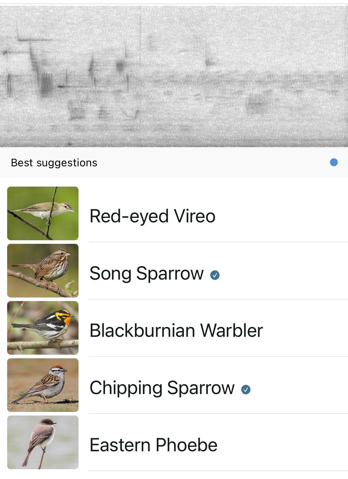 Screen shot from Merlin app showing a sound spectrum and the various birds making those sounds. Including: Red-eyed Verio, Song Sparrow, Blackburnian Warbler, Chipping Sparrow and an Eastern Phoebe 