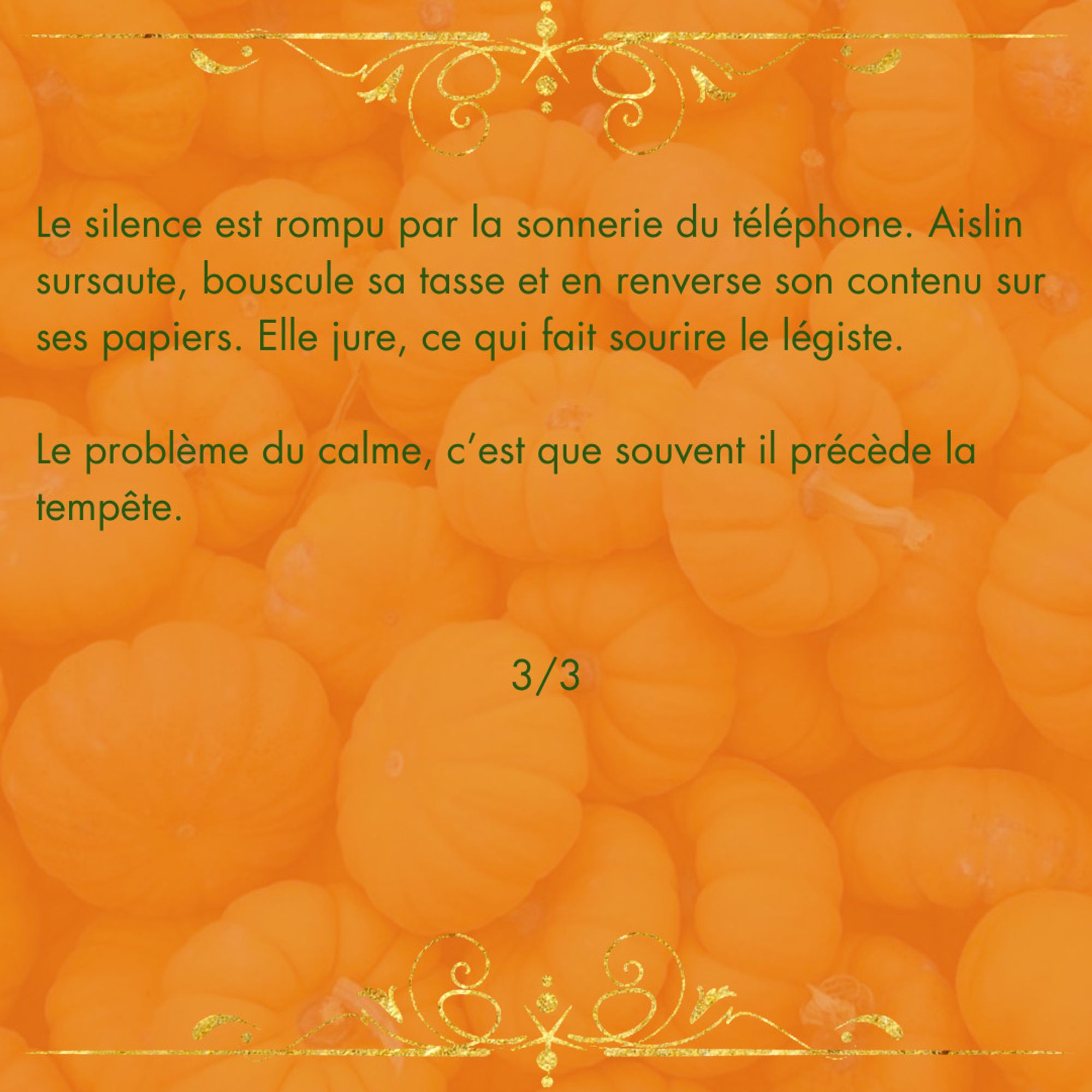 Sur le même fond :
"Le silence est rompu par la sonnerie du téléphone. Aislin sursaute, bouscule sa tasse et en renverse son contenu sur ses papiers. Elle jure, ce qui fait sourire le légiste.
Le problème du calme, c’est que souvent il précède la tempête.
3/3"