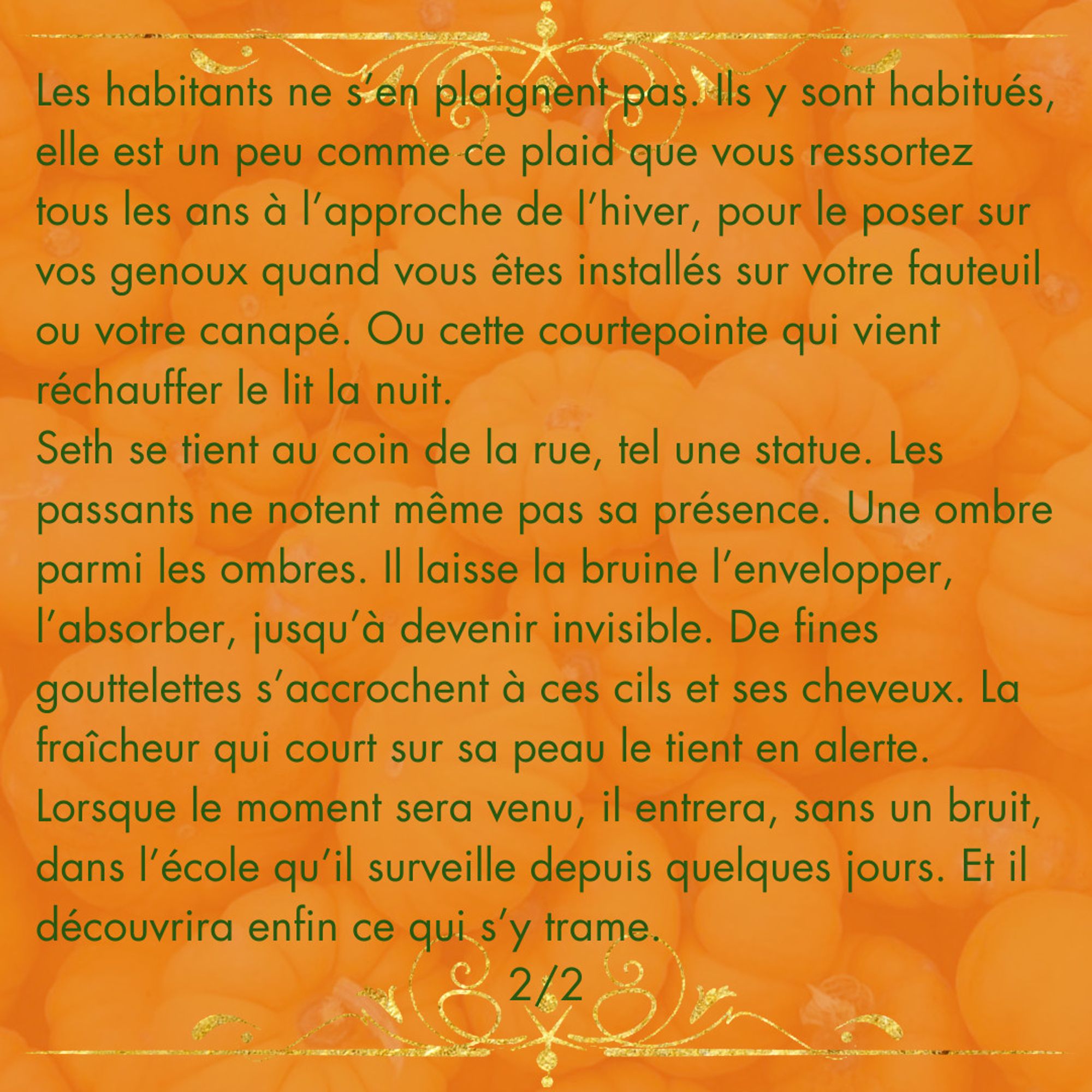 Sur le même fond, le texte suivant :
"Les habitants ne s’en plaignent pas. Ils y sont habitués, elle est un peu comme ce plaid que vous ressortez tous les ans à l’approche de l’hiver, pour le poser sur vos genoux quand vous êtes installés sur votre fauteuil ou votre canapé. Ou cette courtepointe qui vient réchauffer le lit la nuit.
Seth se tient au coin de la rue, tel une statue. Les passants ne notent même pas sa présence. Une ombre parmi les ombres. Il laisse la bruine l’envelopper, l’absorber, jusqu’à devenir invisible. De fines gouttelettes s’accrochent à ces cils et ses cheveux. La fraîcheur qui court sur sa peau le tient en alerte.
Lorsque le moment sera venu, il entrera, sans un bruit, dans l’école qu’il surveille depuis quelques jours. Et il découvrira enfin ce qui s’y trame.

2/2"