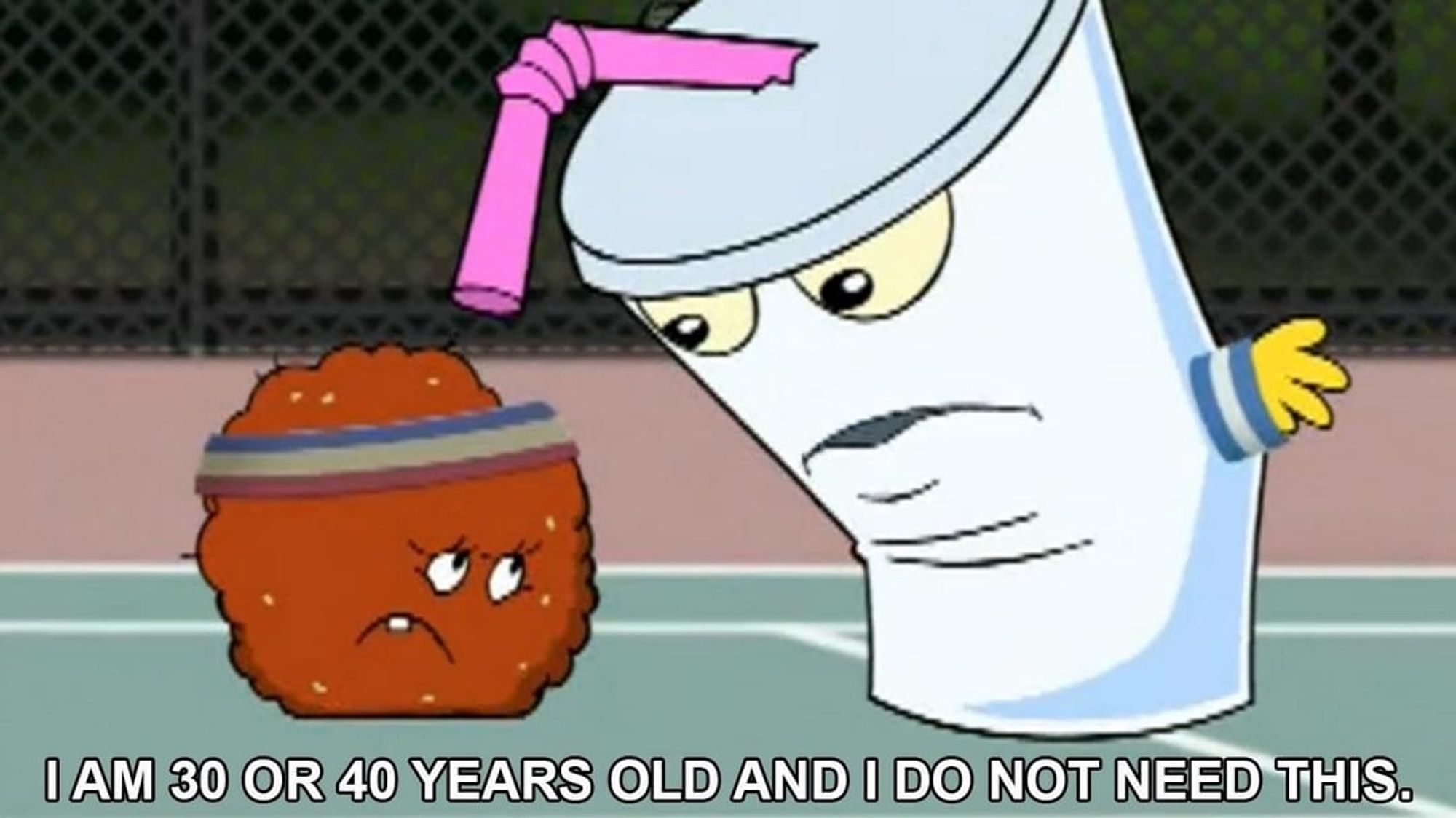 Master Shake and Meatwad from Aqua Teen Hunger Force. Master Shake is leaning over Meatwad and saying "I am 30 or 40 years old and I do not need this."