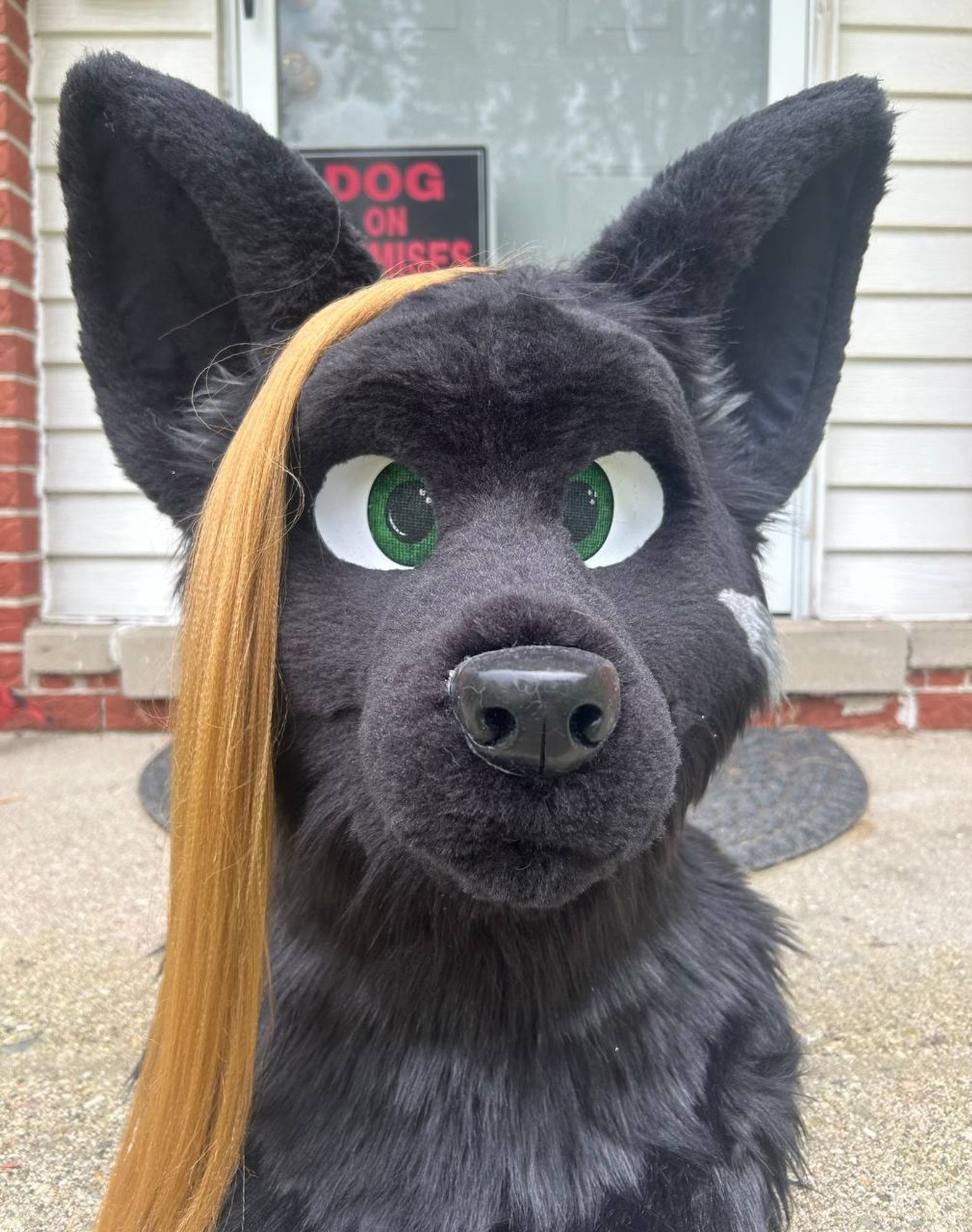 Black fox/skunk fursuit head