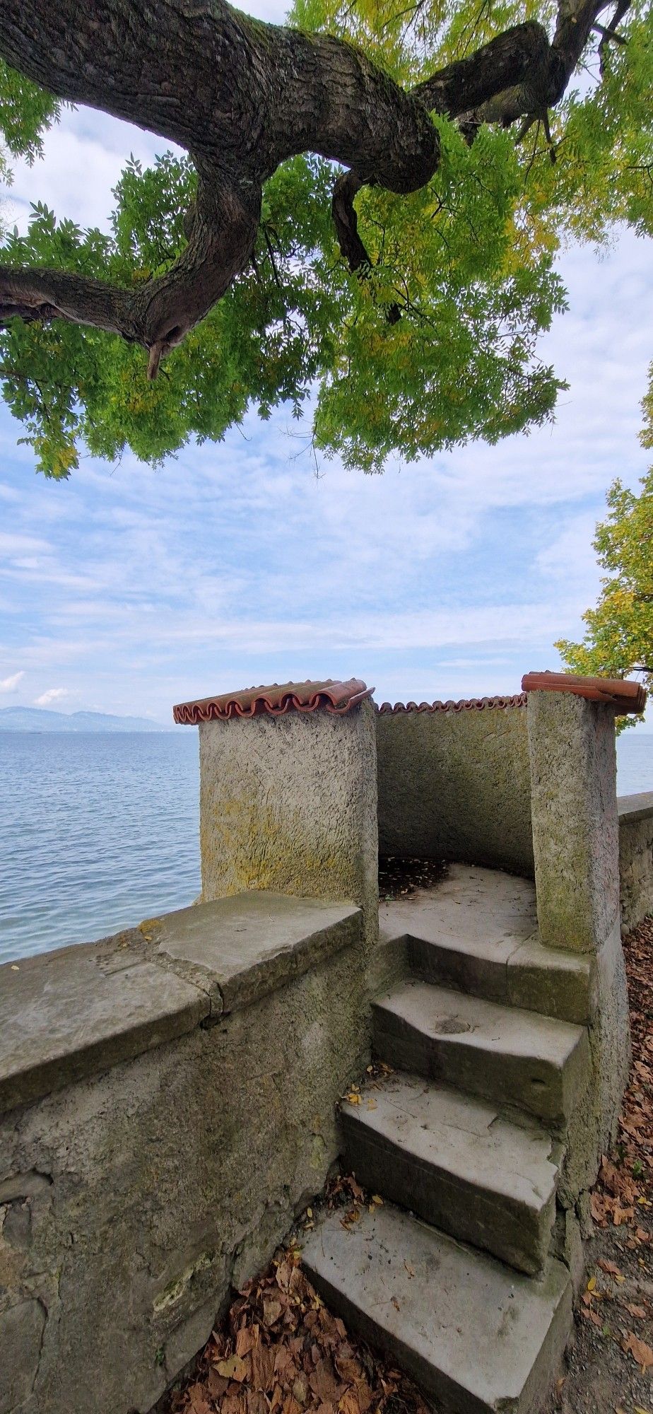 Treppe mit 4 Stufen zur kleinen Aussicht in der Steinmauer am Bodenseeufer - Unter den Ästen eines Baumes. Im Hintergrund ist der See zu Segen. Am Mauerrand liegen schon viele herbstlich braune Blätter auf dem Boden.