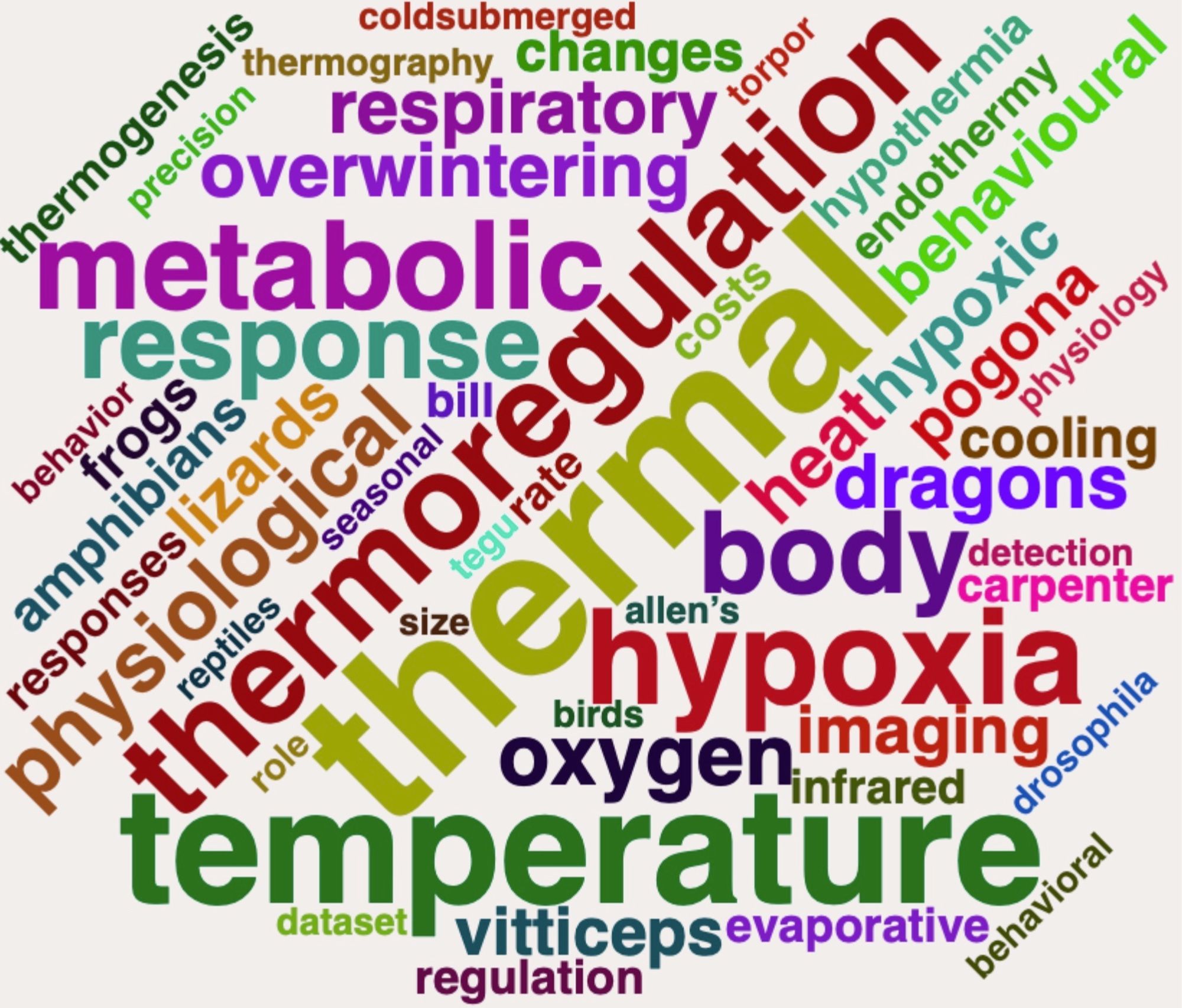 Cloud of words in various colors and sizes. Some of the largest words include thermal temperature thermoregulation hypoxia metabolic body response physiological oxygen heat overwintering respiratory dragons lizards hypoxic imaging pogona vitticeps behavioural amphibians frogs cooling changes infrared bill endothermy thermogenesis responses hypothermia regulation