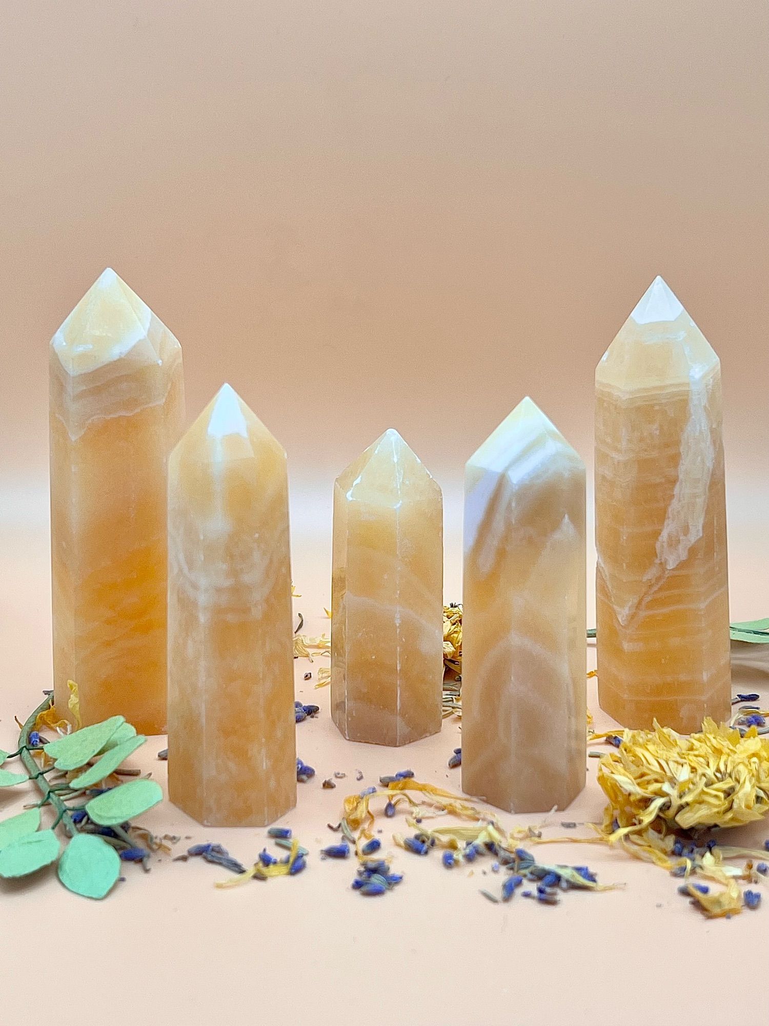 An array of orange calcite displayed with herbs surrounding them