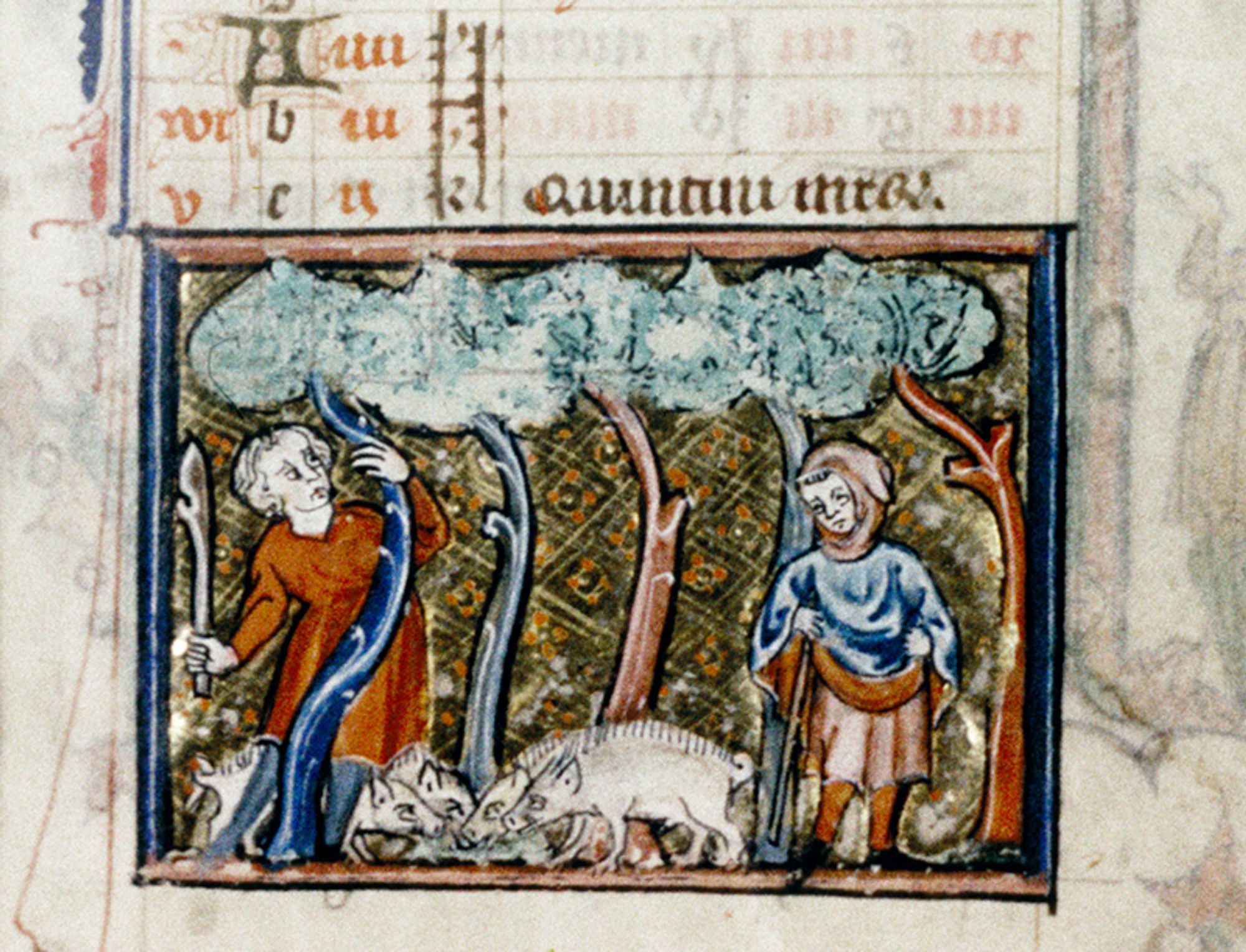 two swineherds with a group of pigs in a woodland. One of the swineherds is knocking acorns out of the trees.
Bodleian Library MS Douce 5 folio 6r