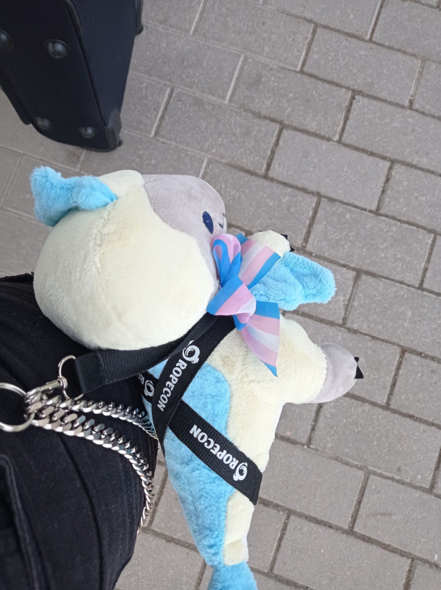 A blue and yellow dinosaur plushie (from AfternoonFika) hanging on black shorts from a Ropecon lanyard. The dino has a transflag colored bow on it's neck.