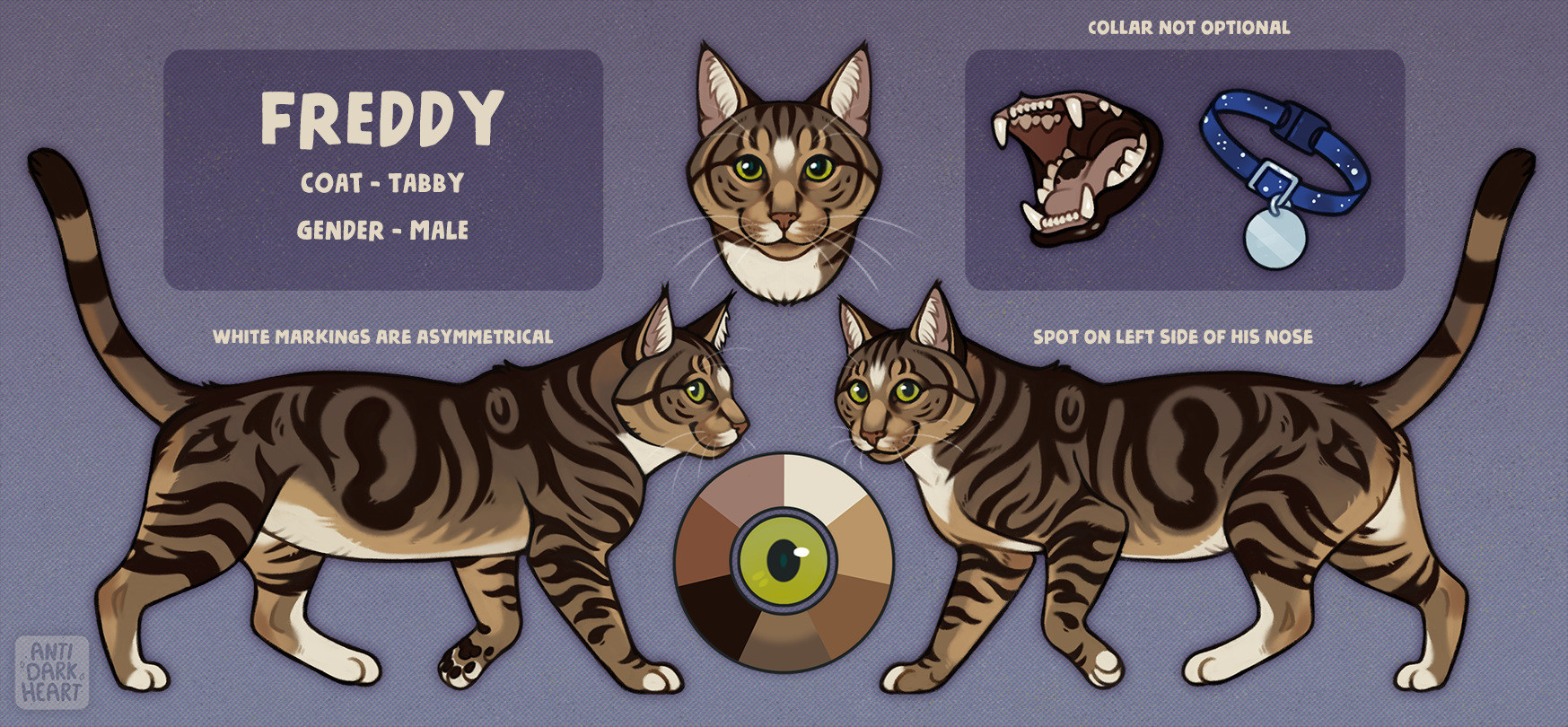 Digital reference sheet of Freddy the male brown, tan, and white tabby cat. Features a headshot, two fullbody refs, a mouth ref, and collar ref. 