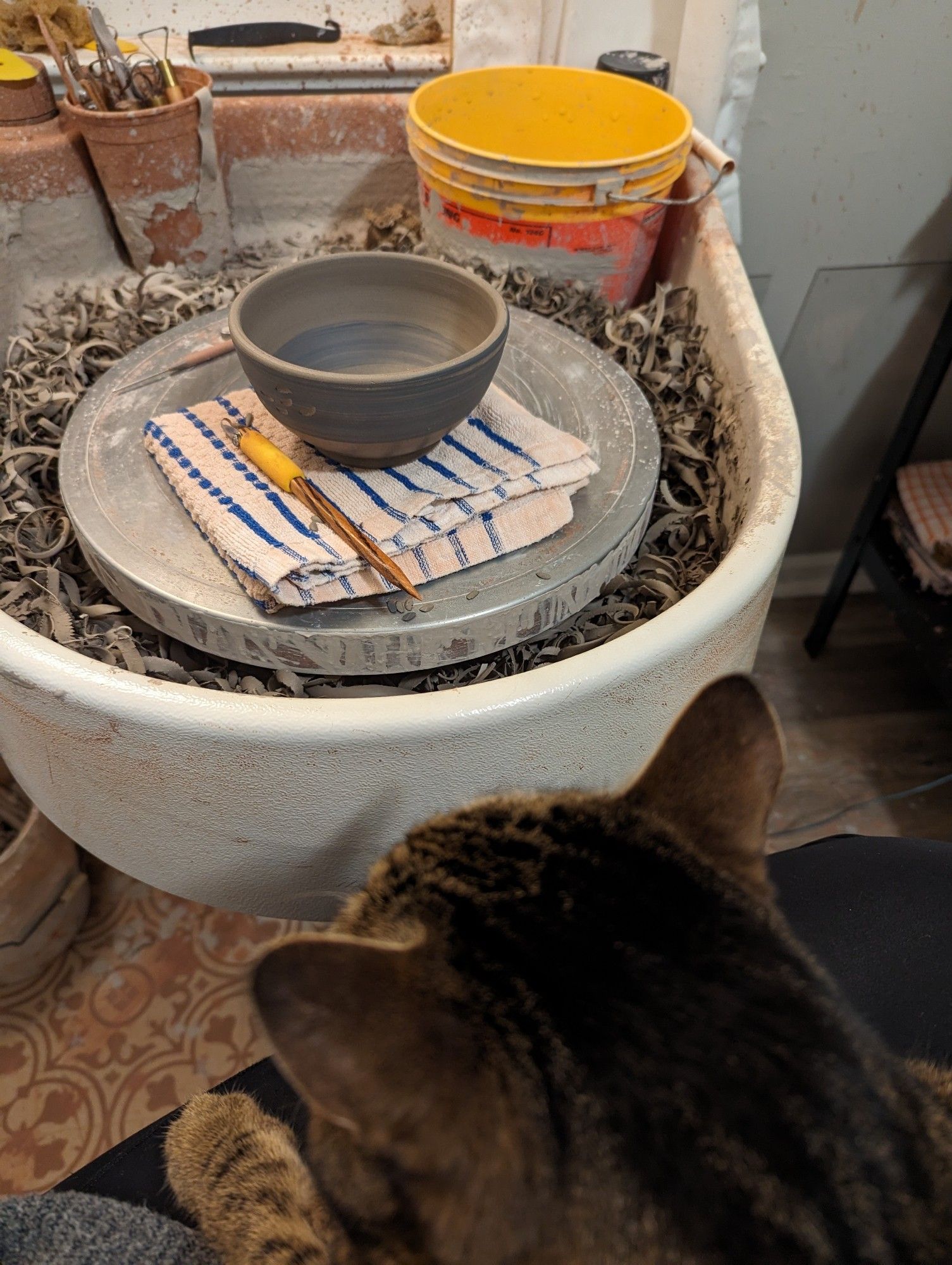 A half-finished clay bowl on a wheel with a tool next to it. A cat in the photographer's lap is in the foreground.