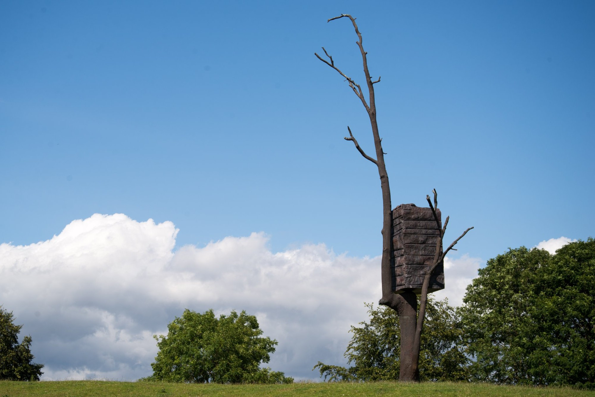 Yorkshire Sculpture Park
By Giuseppe Penone 
A large section of stone wall looks to have been hoisted up to rest in the crook of a leafless, twisted tree