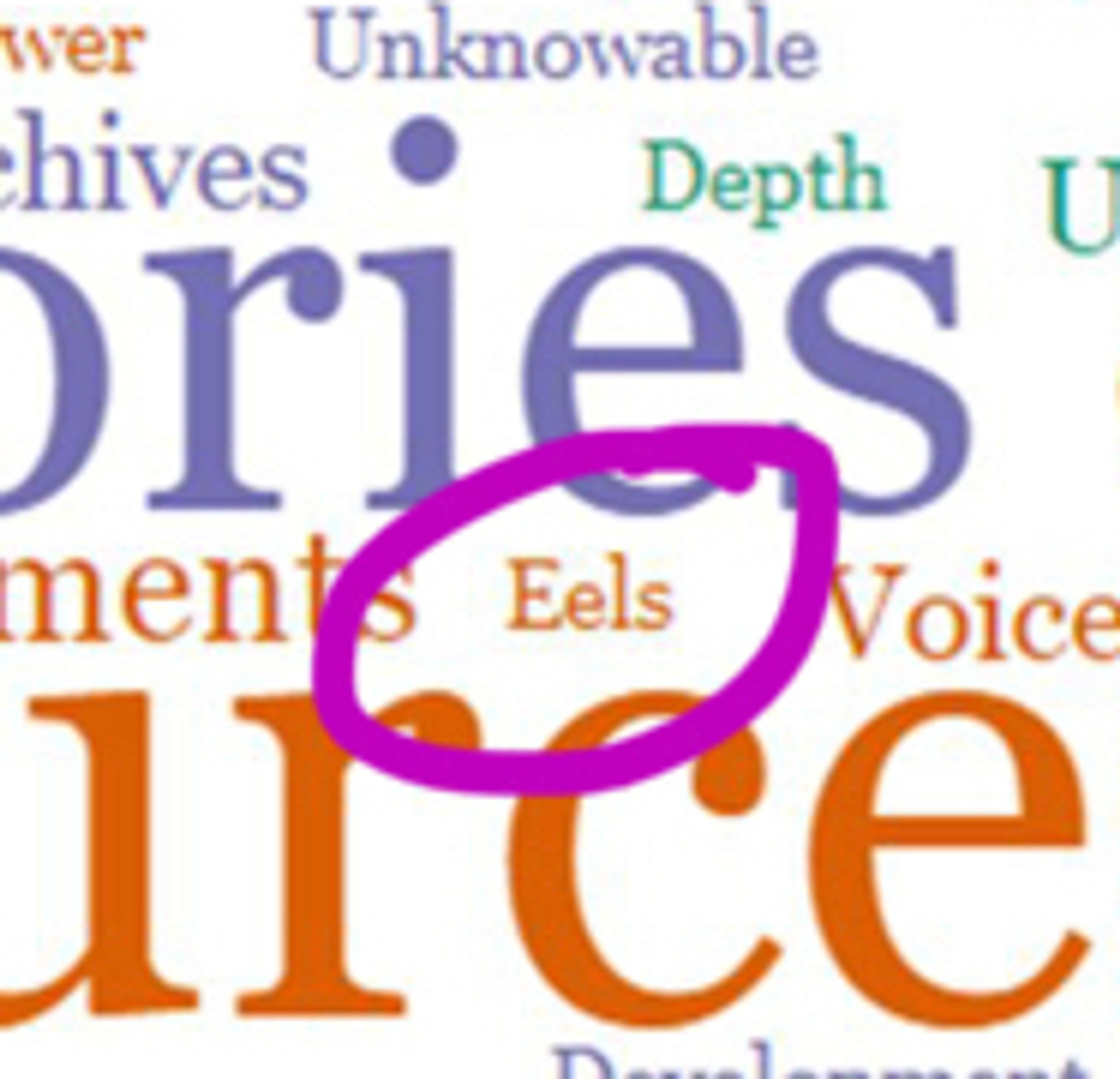 Screenshot of word cloud zoomed in to the word “Eels” which is circled