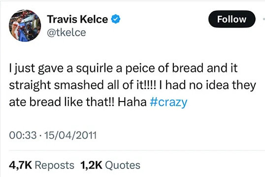 Squirrel 