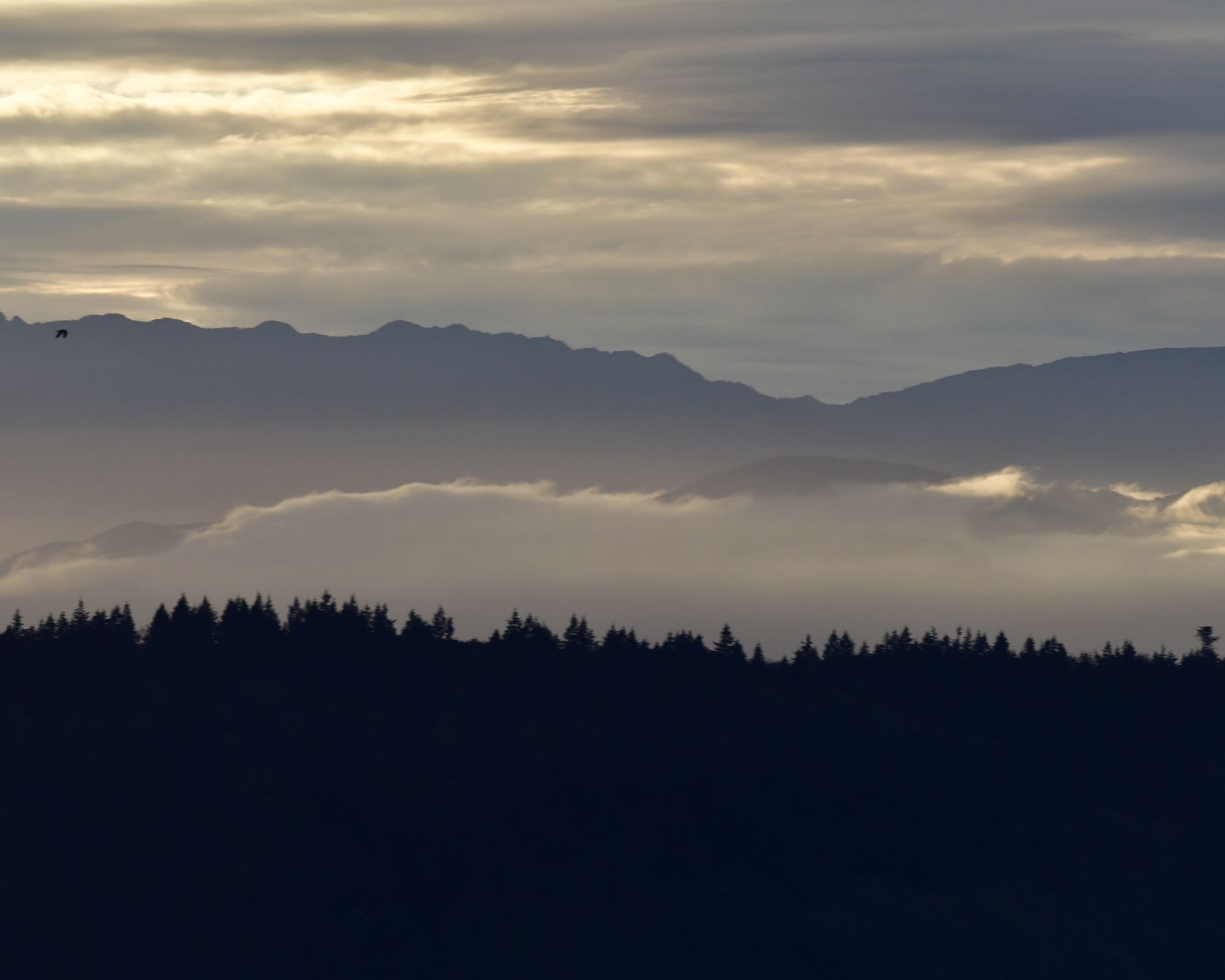 Dark trees silhouetted in the foreground, sunset-lit clouds rolling across the landscape, with mountains behind and then rows of golden clouds above.