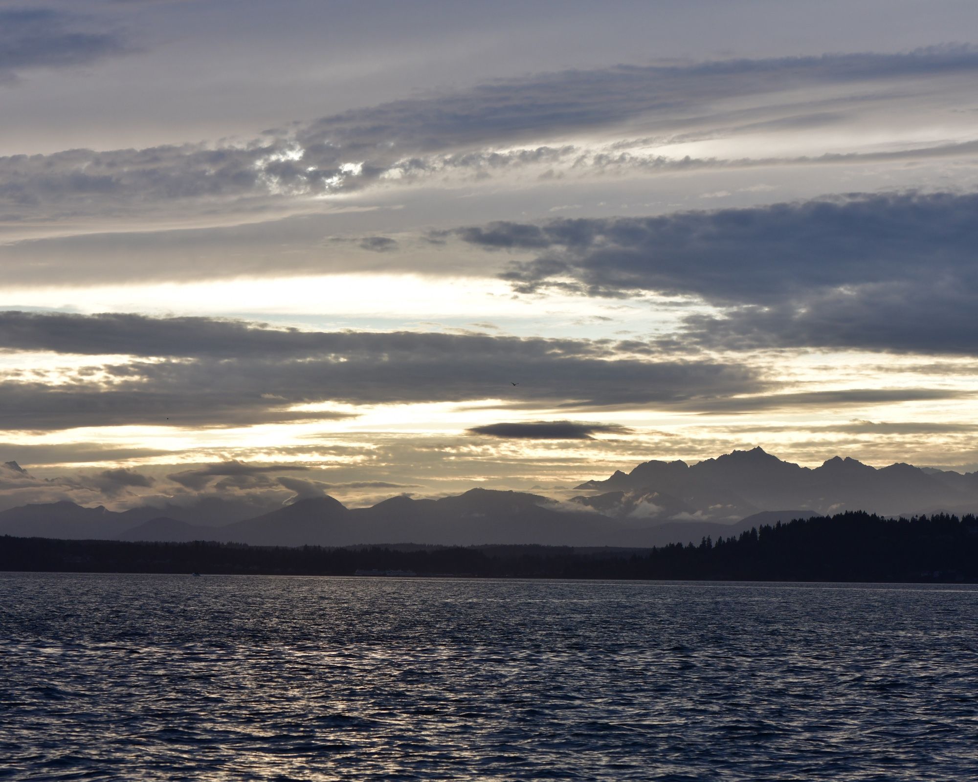 The dark waters of Puget Sound reflect the evening sky, bright reflected sunset amid dark shadowed troughs. A line of dark land and the. the grey Olympic mountains wispy with clouds, then the sunset, golden and filtered through clouds of every shape imaginable.