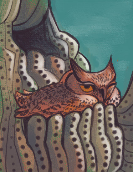 Digital painting of an owl roosting in a cactus.