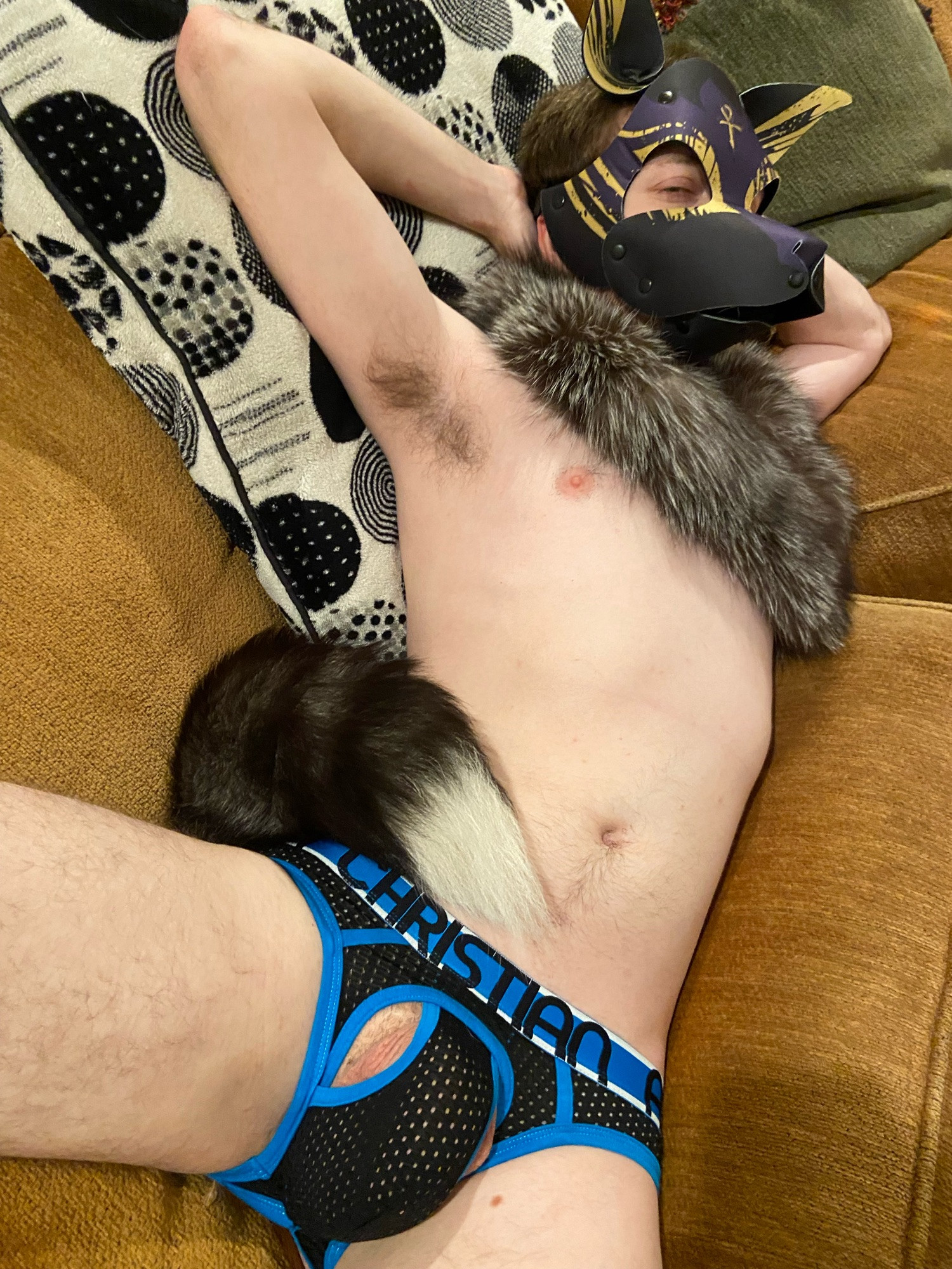 Human Anubis pup laying on back with arms behind head on brown couch. Wearing a silver fox fur collar, tail, and a black and blue mesh jock