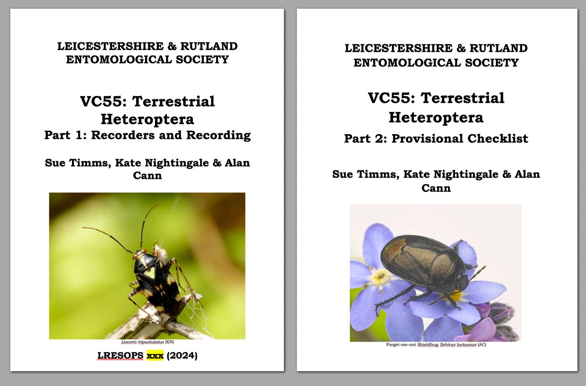 VC55 Terrestrial Heteroptera