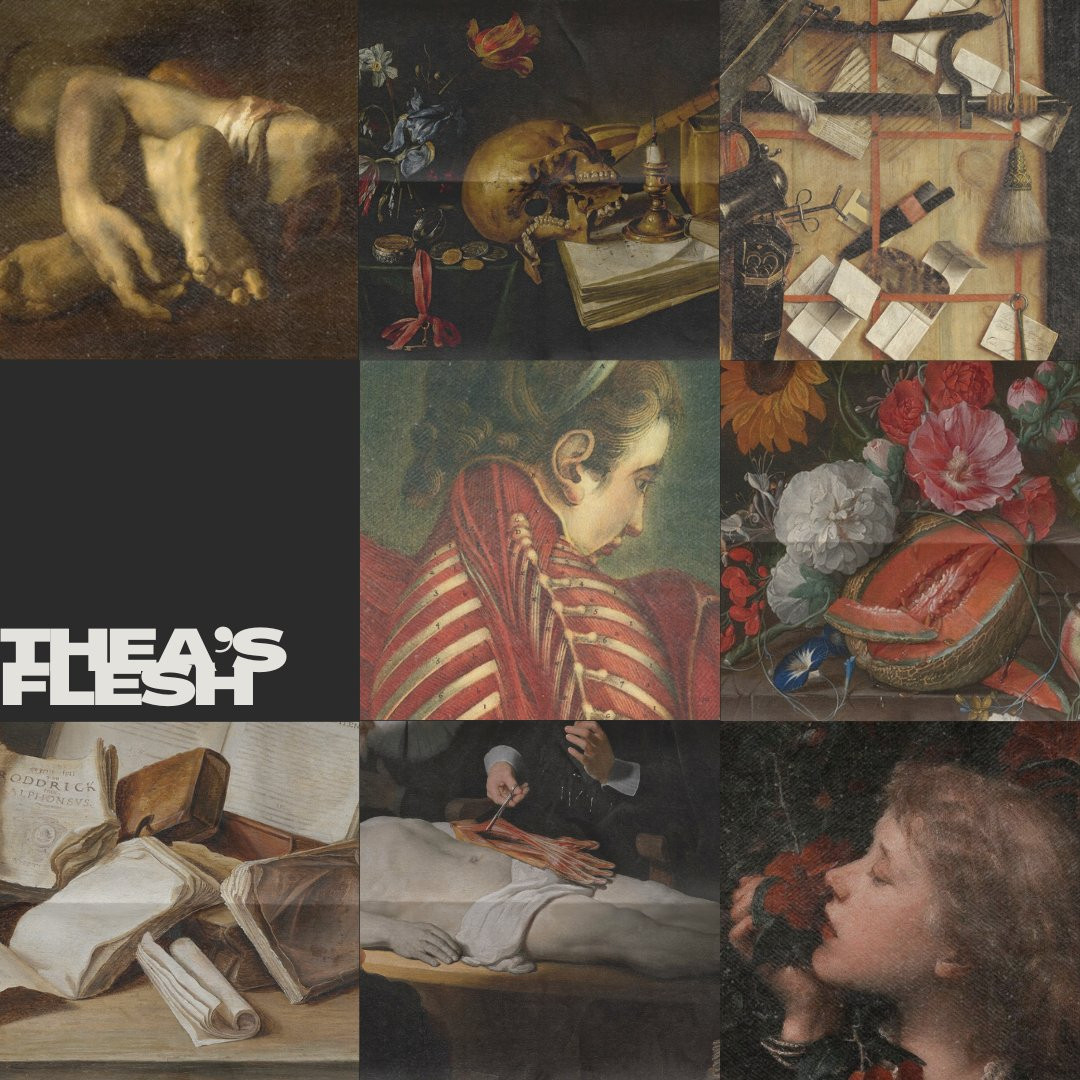 A mood board of old paintings in which you can see body parts, skulls, medical equipment, a woman with an open back, ribs shown to the world, fruits and flowers, books, an autopsy close-u in which you can see a doctor pulling off the muscles of a body and a blonde woman smelling a rose.