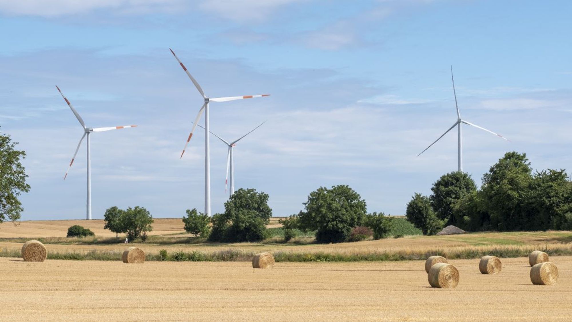 Symbolbild: Windkraftanlagen neben einem Getreidefeld