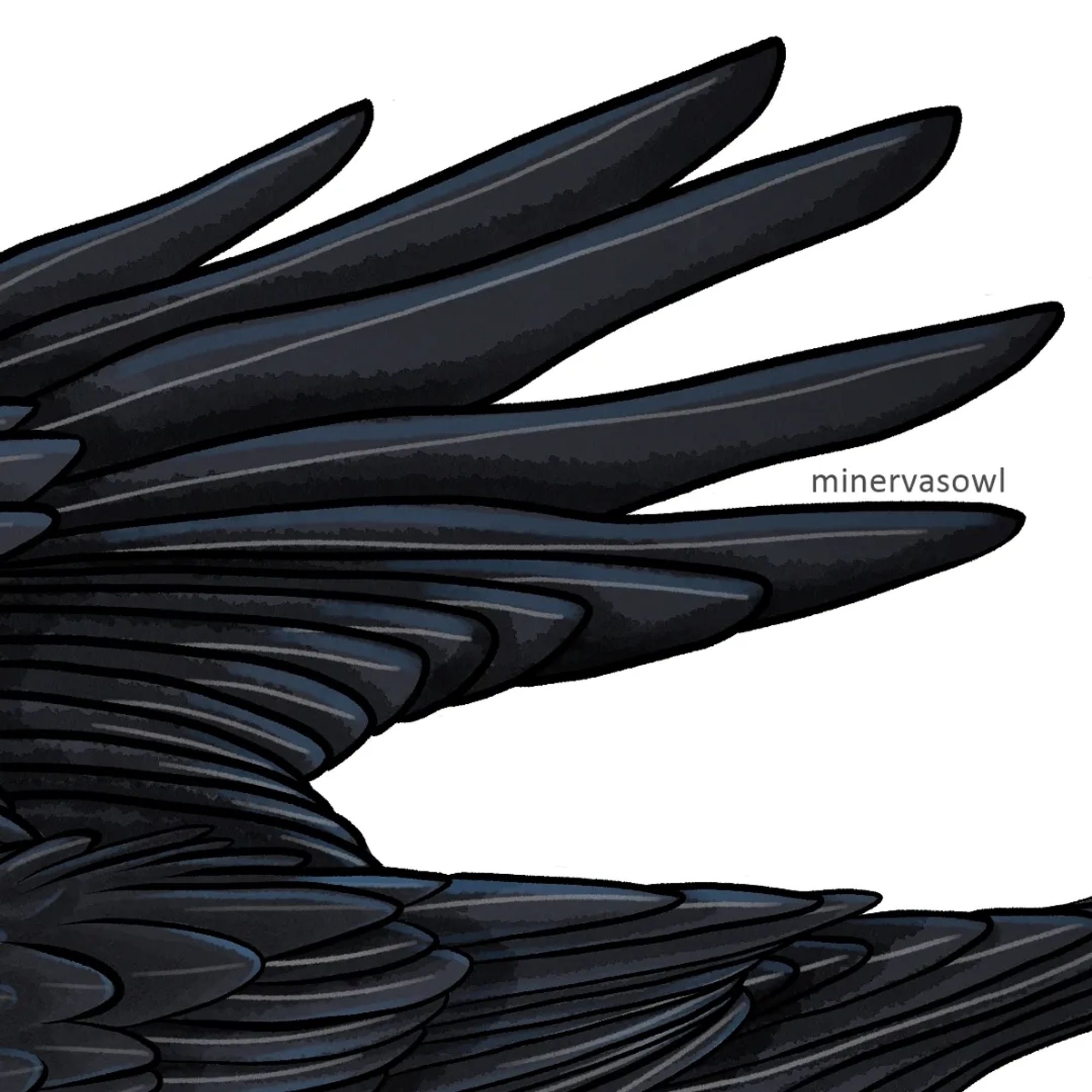 Detail Picture of drawn Raven Wings