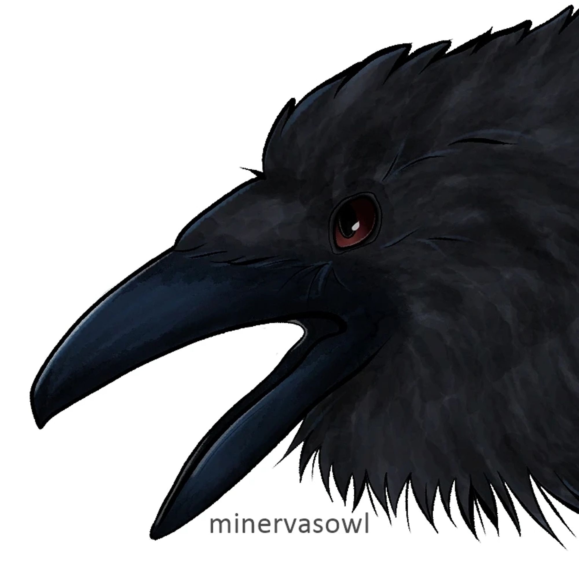 Detail Picture of drawn Raven face