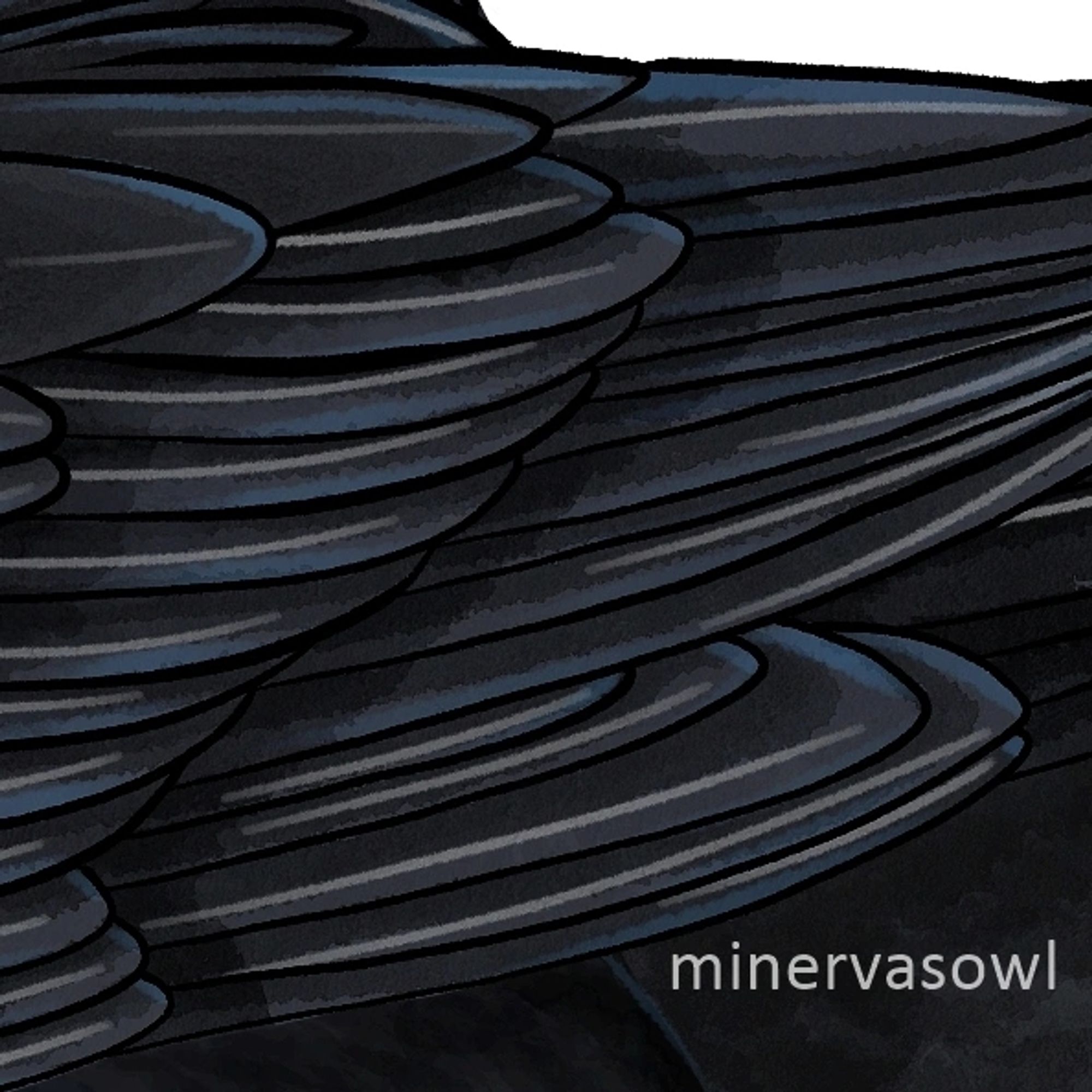 Detail Picture of drawn Raven Wings