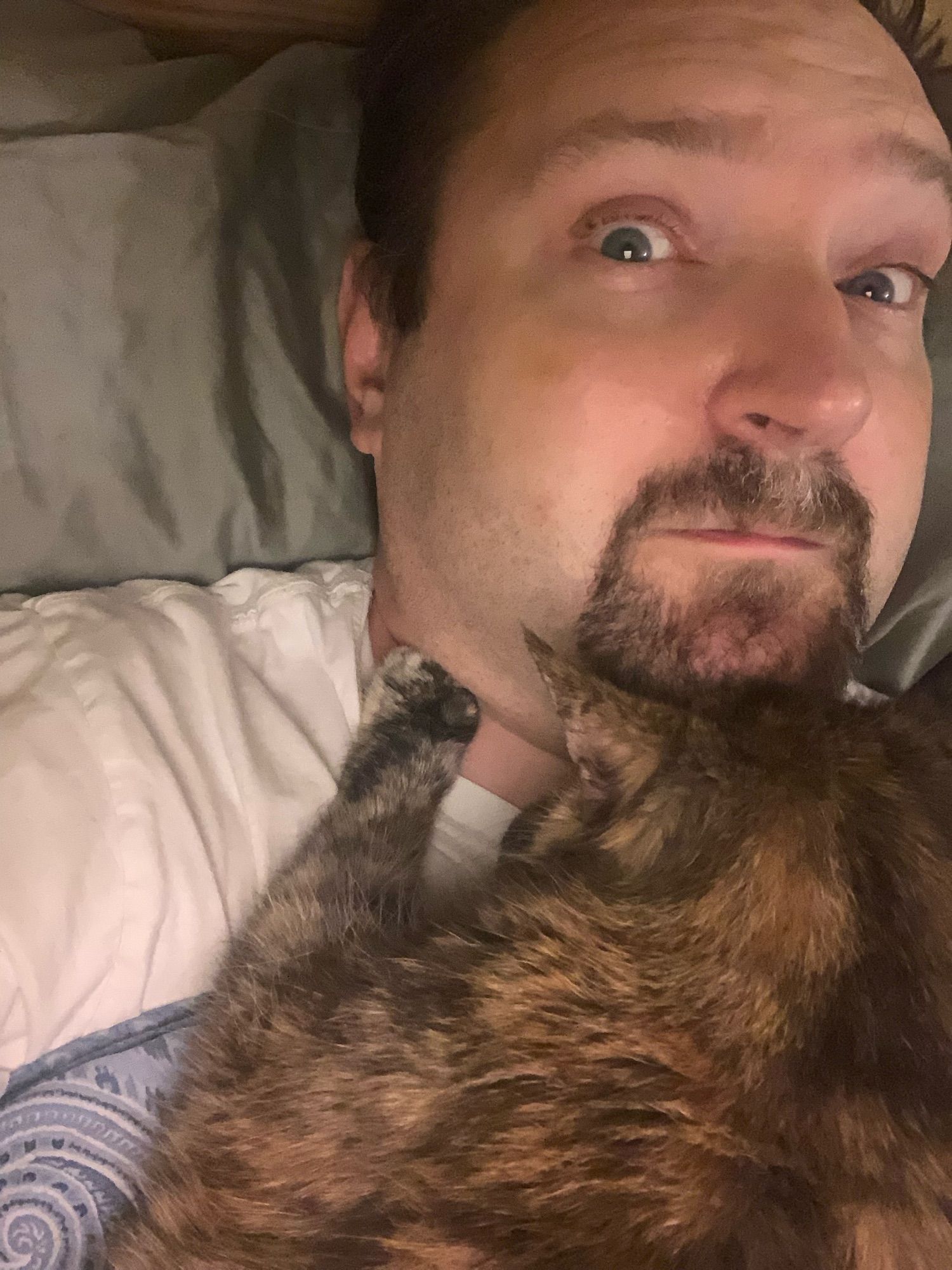 a man with a goatee beard lies in a bed. a fine tortoiseshell cat lies across his neck, murdermittens gently poised over soft bits.