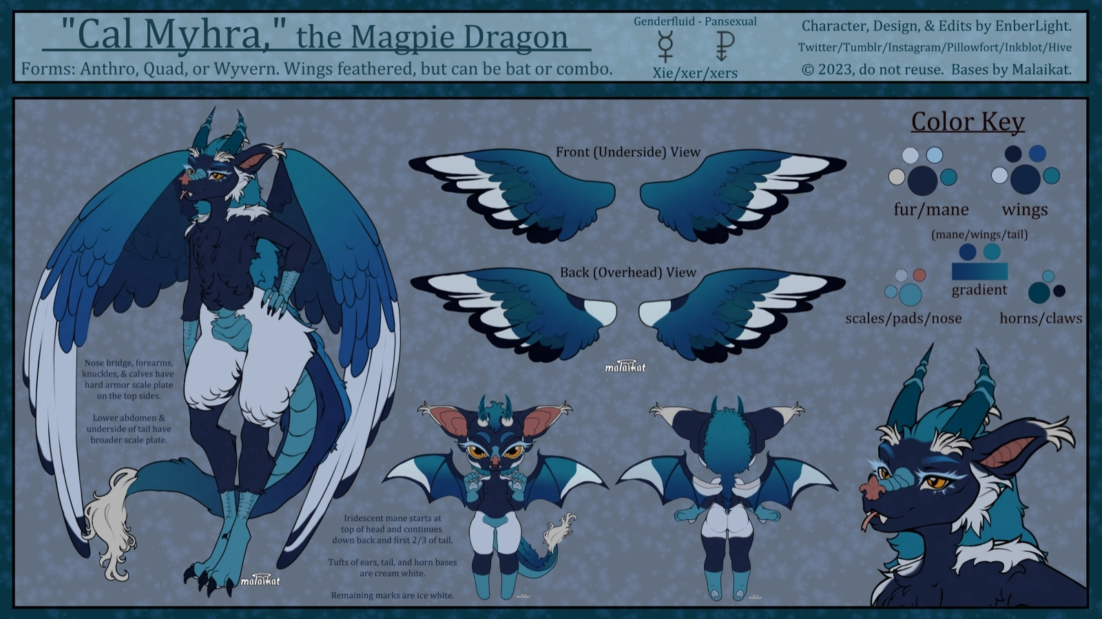 A ref sheet for a blue-green magpie themed anthro dragon with tall ears and a bat nose. Wings are shown as either feathered or bat, both with magpie markings.