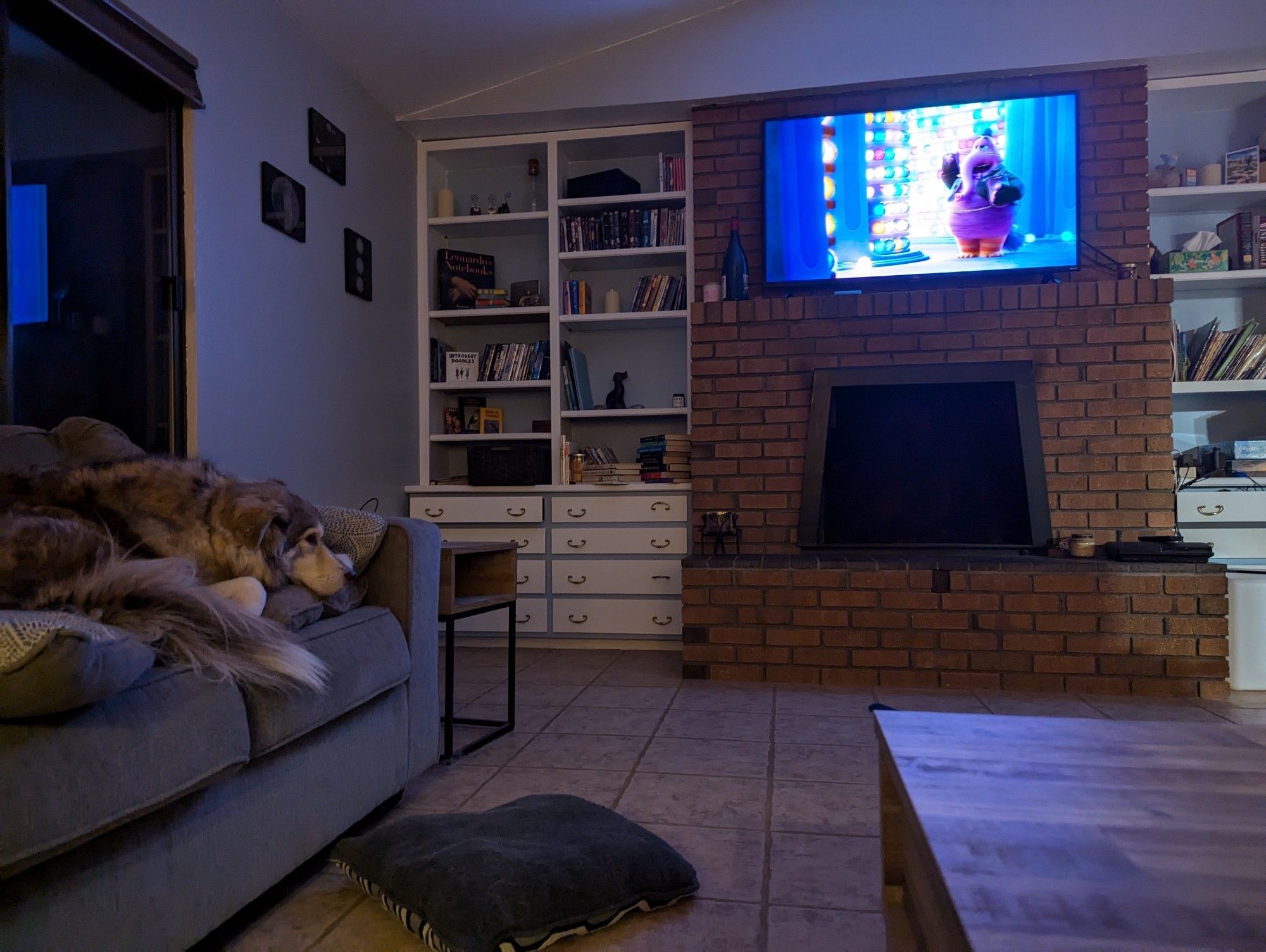 A husky lying down on the couch watching Inside Out on TV