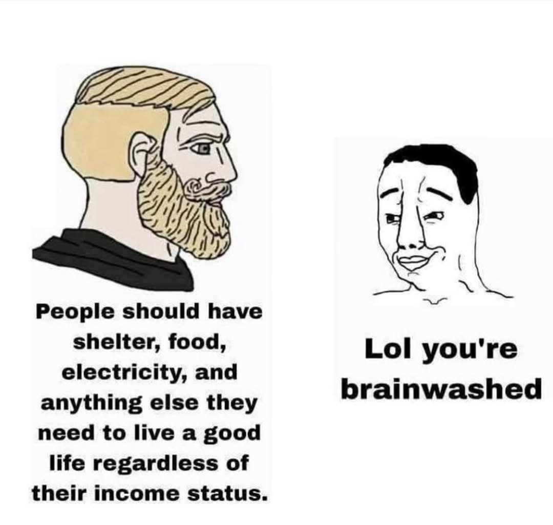 The image is a meme featuring two cartoon-style characters with contrasting viewpoints.

On the left, a character with a side profile, sporting a blonde beard and hair, is shown. Below this character is the text: "People should have shelter, food, electricity, and anything else they need to live a good life regardless of their income status."

On the right, there is another character with a simplistic, exaggerated face. Beneath this character, the text reads: "Lol you're brainwashed.” 