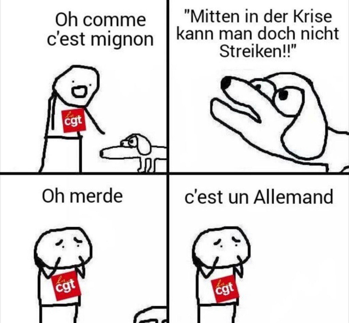 vierteiliges meme auf französisch mit einem strichmännchen der einen hund streichelt der hund sagt dann mitten in der krise kann man doch nicht streiken und das männchen sagt oh scheiße es ist ein deutscher