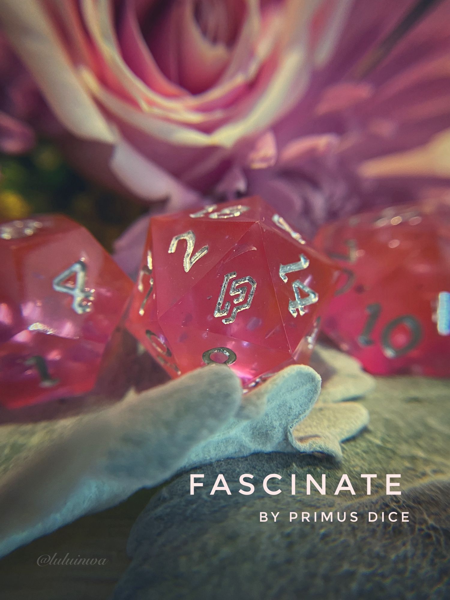 Pink dice in front of of roses