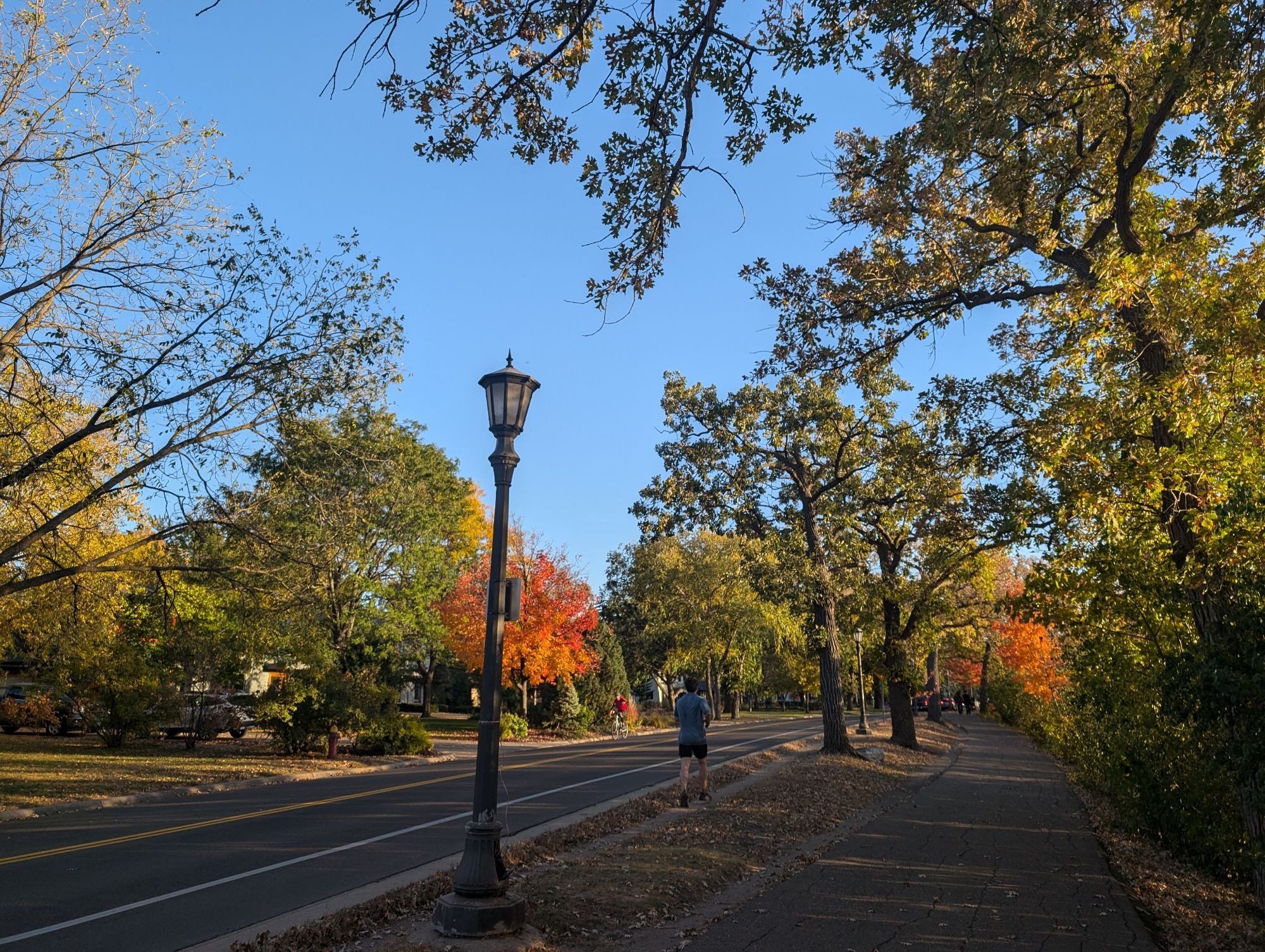 Blue sky, multicolor trees , road, bike lane, and walking path 