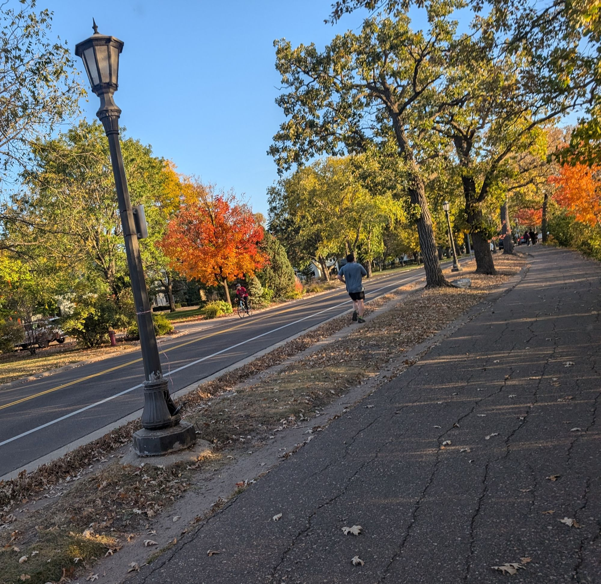 Walking path, blue sky, orange and green trees in fall