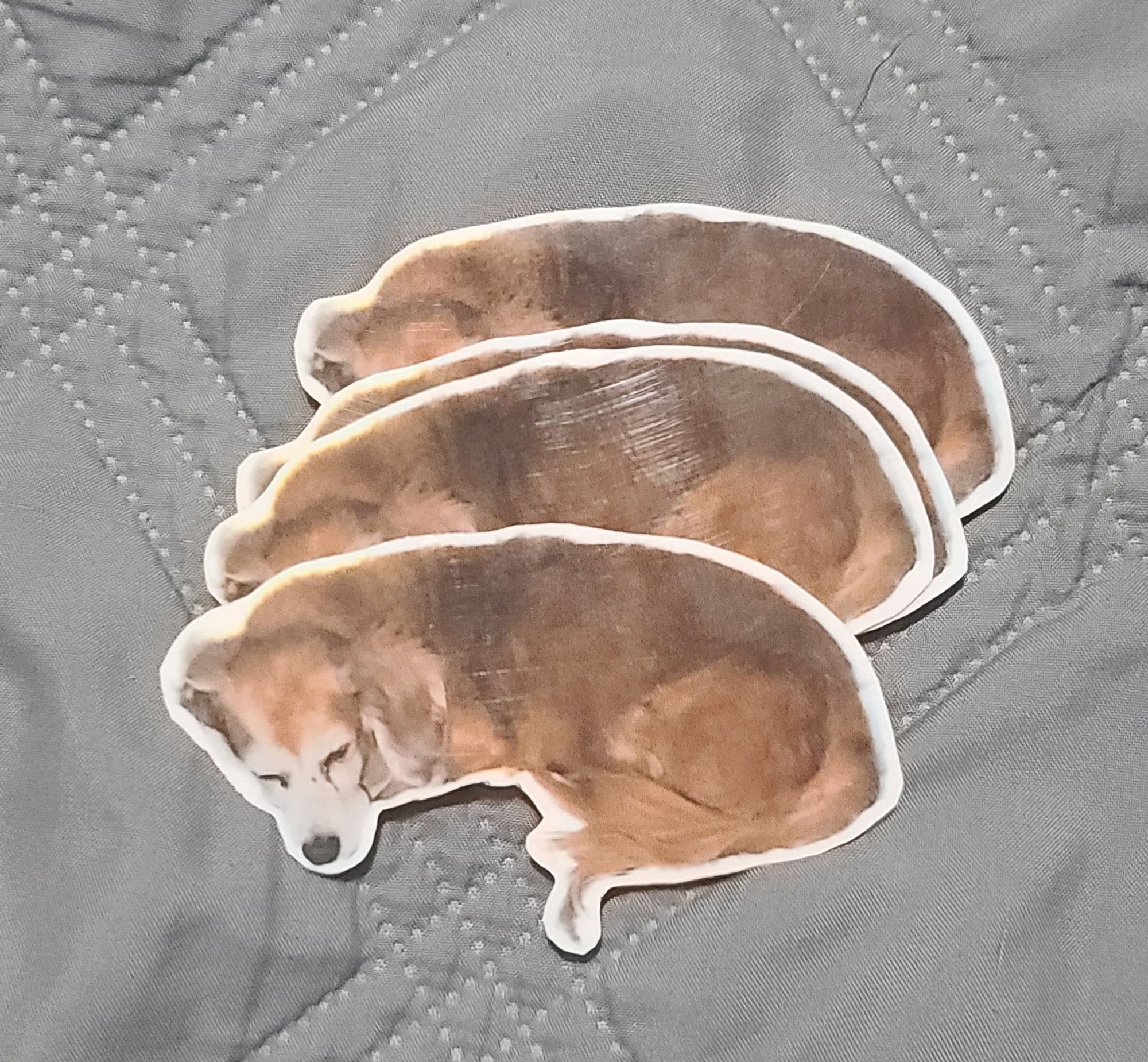 a fanned out stack of vinyl stickers of my dachshund twitter