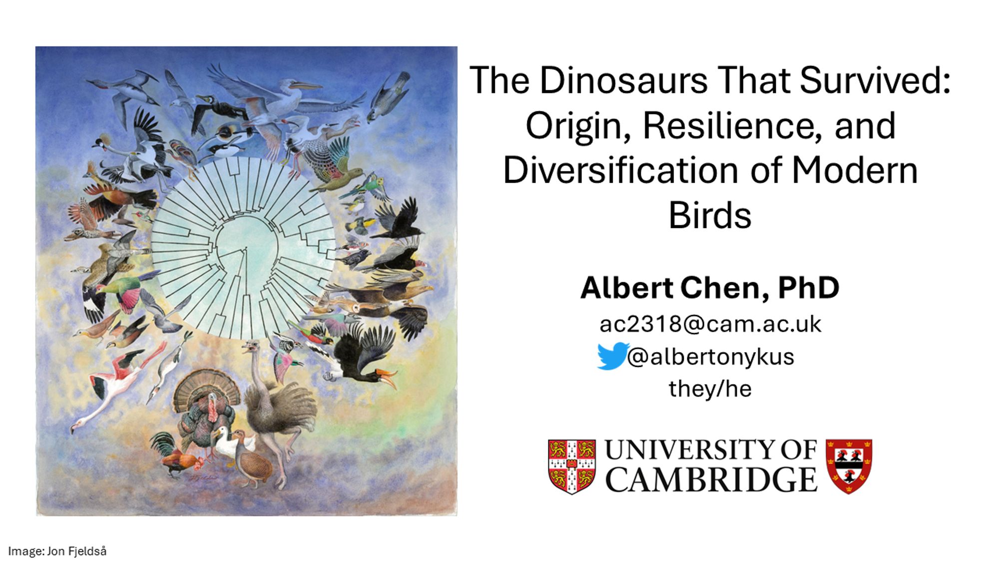 Presentation title slide with an illustration by Jon Fjeldså showing evolutionary relationships among birds. The title reads "The Dinosaurs That Survived: Origin, Resilience, and Diversification of Modern Birds", with information about the presenter (Albert Chen) in smaller text below.