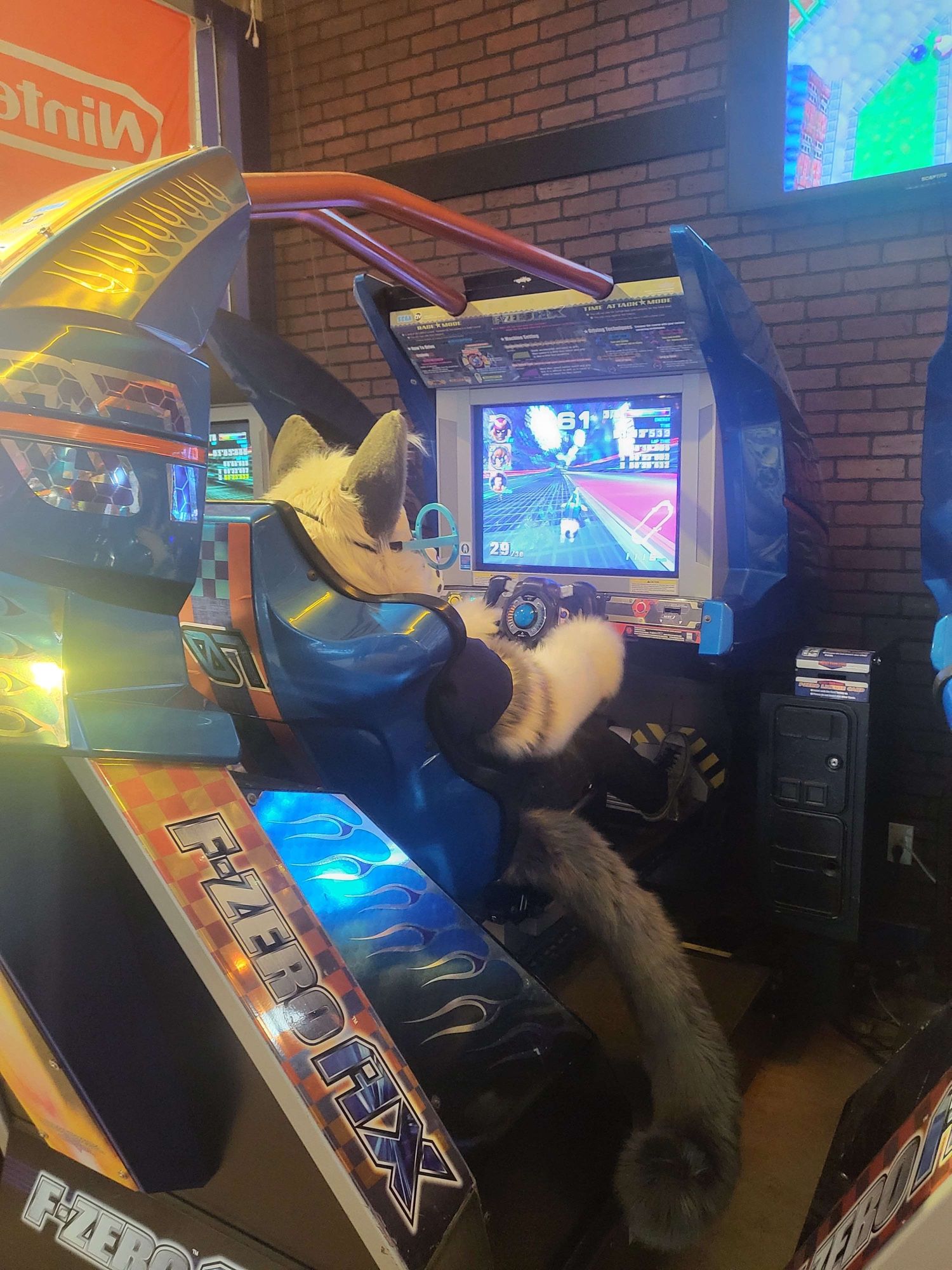 Ragdoll cat fursuiter playing a race car arcade game.