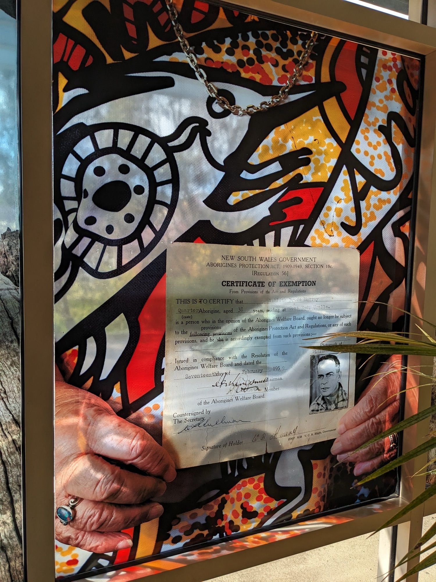 Stained glass window at Uralla Info Centre with red and yellow Indigenous painting of what looks like a turtle and a woman’s hands holding a Certificate of Exemption for Bill Murray that allows him to move around without their restrictions that most Indigenous people had put on them as a result of the New South Wales ‘Aboriginal Protection Act’