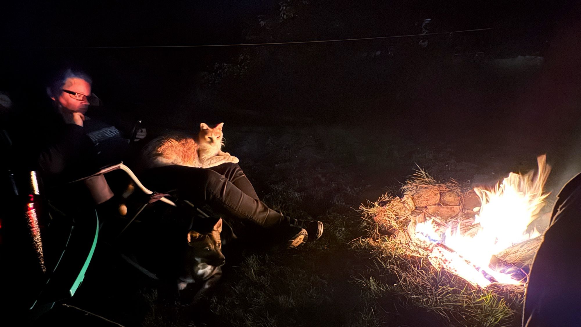 my wife and me and our old cat and young puppy are sitting outside by the fire listening to enka