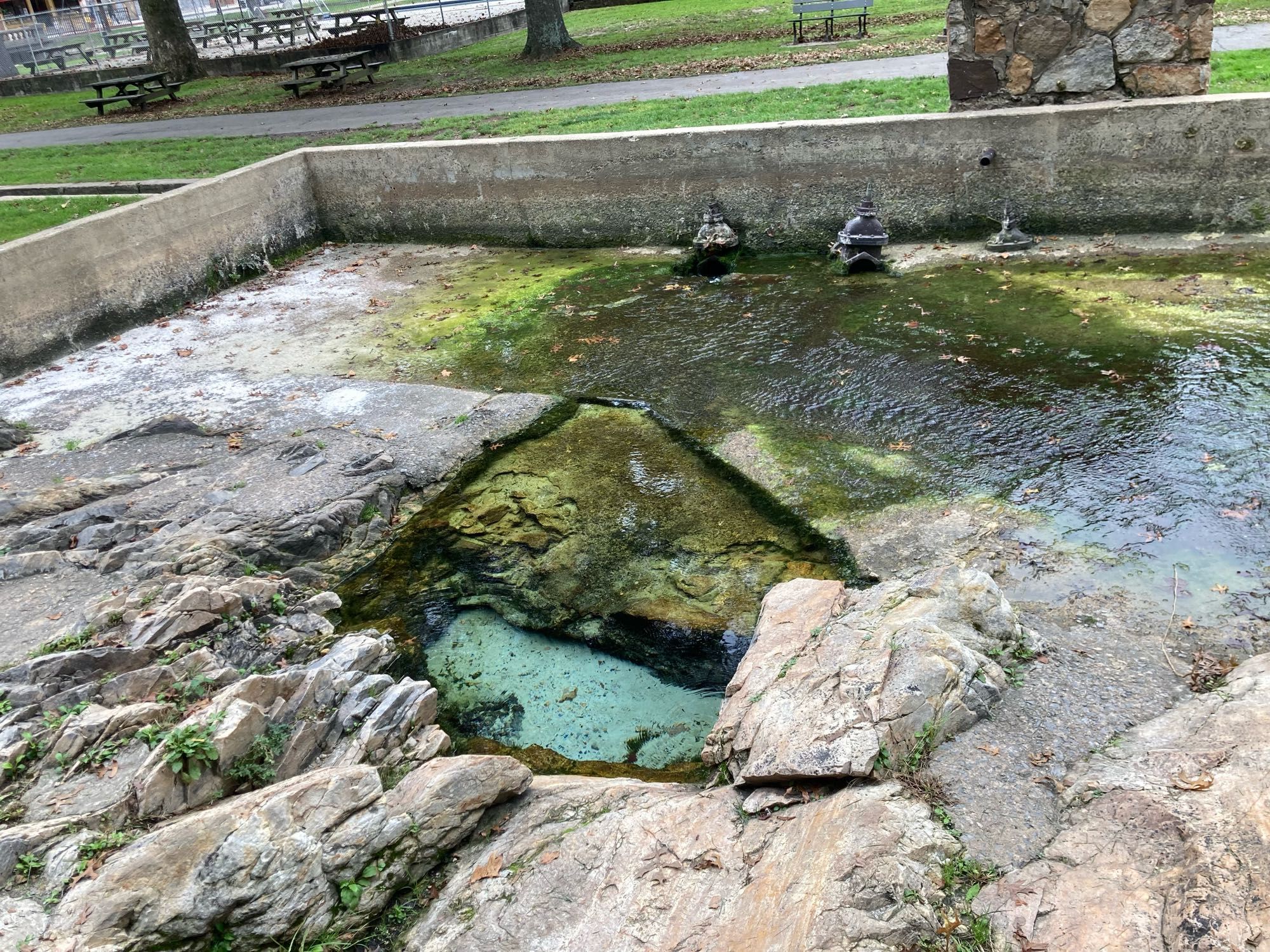 A rocky natural spring with moss on the rocks. The area around the spring is dug out and it’s surrounded by a concrete retaining wall.