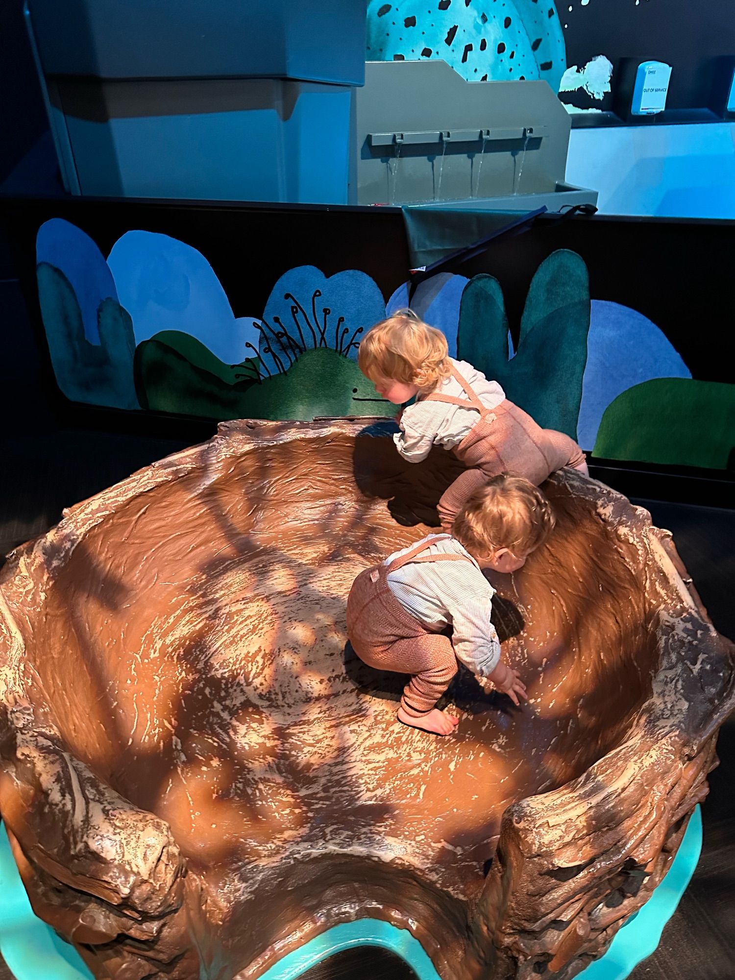 two babies in a giant play eagles nest