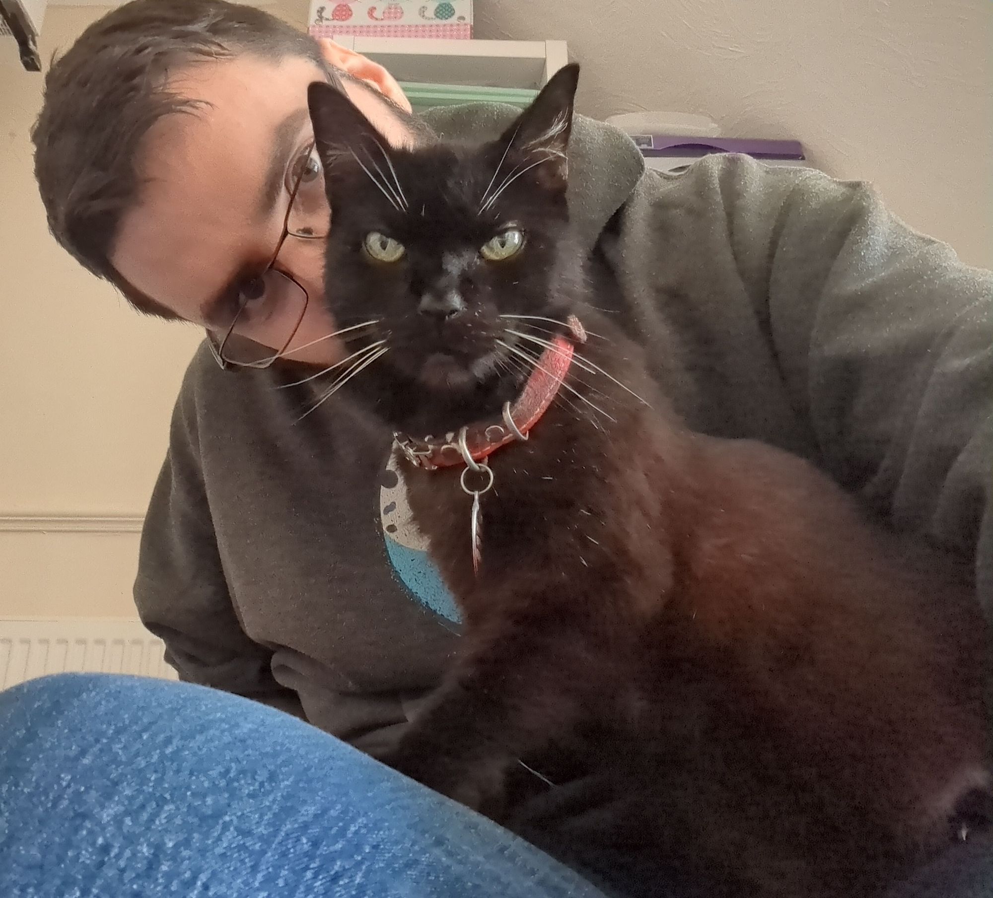 A selfie with my cat taken seconds after the one in the post above - in this one, I have moved my head to the side of his to give him a little kiss on the back of the head, and he looks absolutely furious about it. He is starting directly at the camera with a very, very grumpy facial expression.