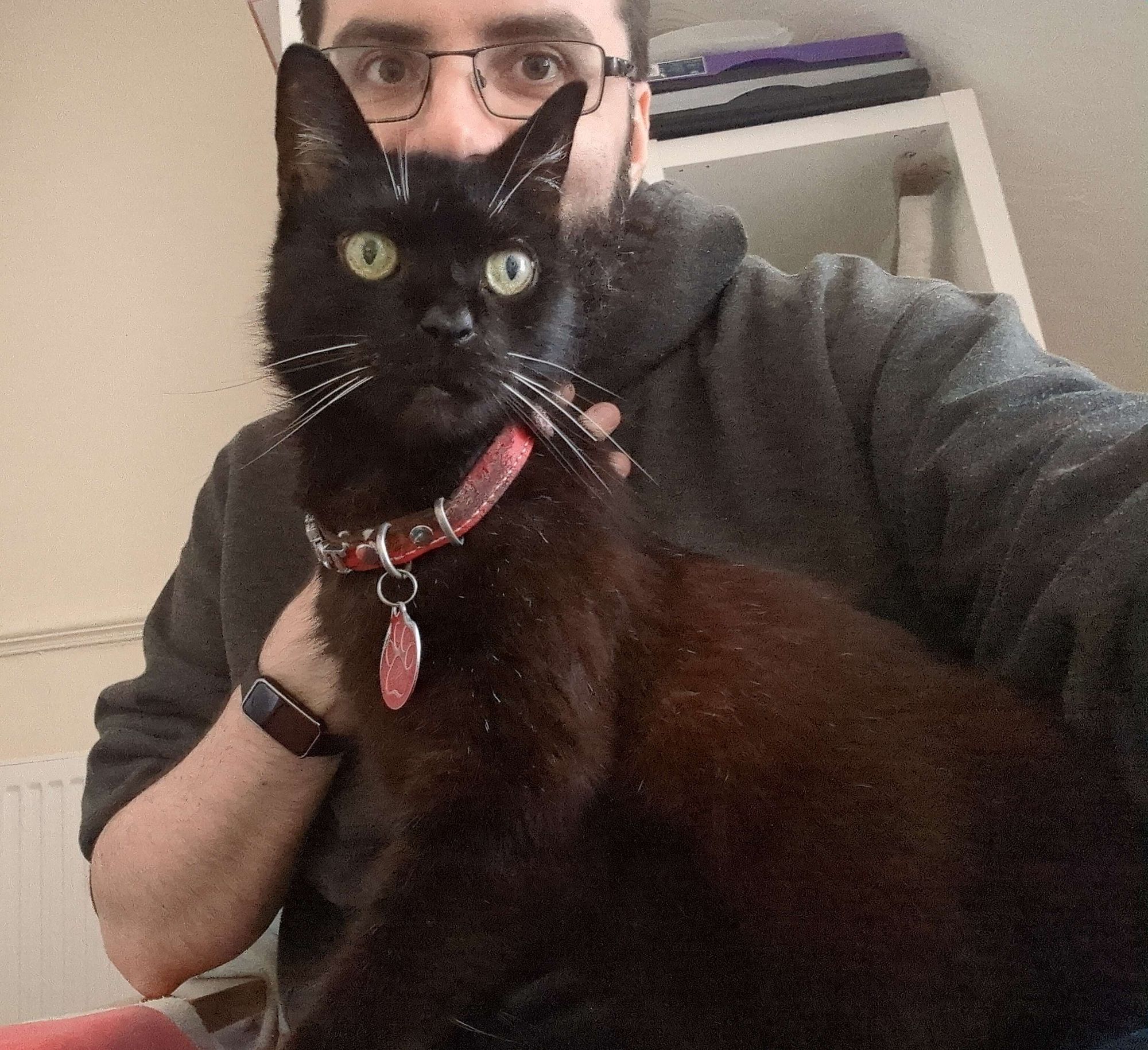 A selfie, with a black cat sitting up on my lap. He is alert, looking just to the right of shot. My head is just behind his, with my eyes and nose visible above his ears. I am wearing a dark grey hoodie (with one sleeve rolled up for some reason) and glasses. He is wearing a red collar.