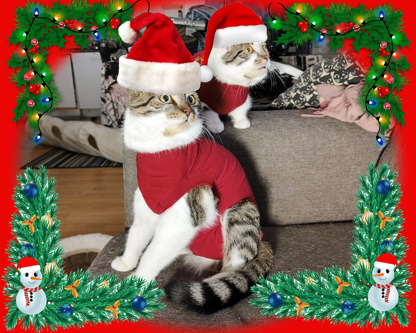 Two small grey and white cats in red bibs, wearing photoshopped Santa hats, surrounded by holiday decorations.