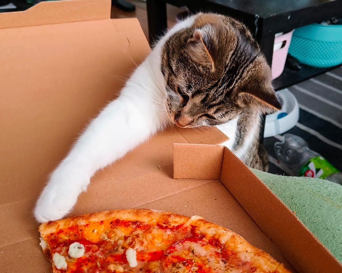 A small white and grey cat is reaching into a pizza box, trying to steal a slice of pizza.